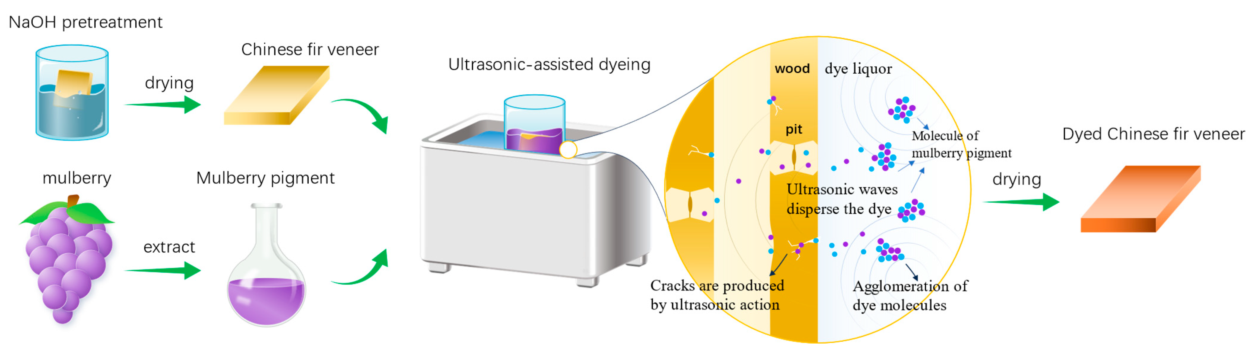Forests 14 01832 g001