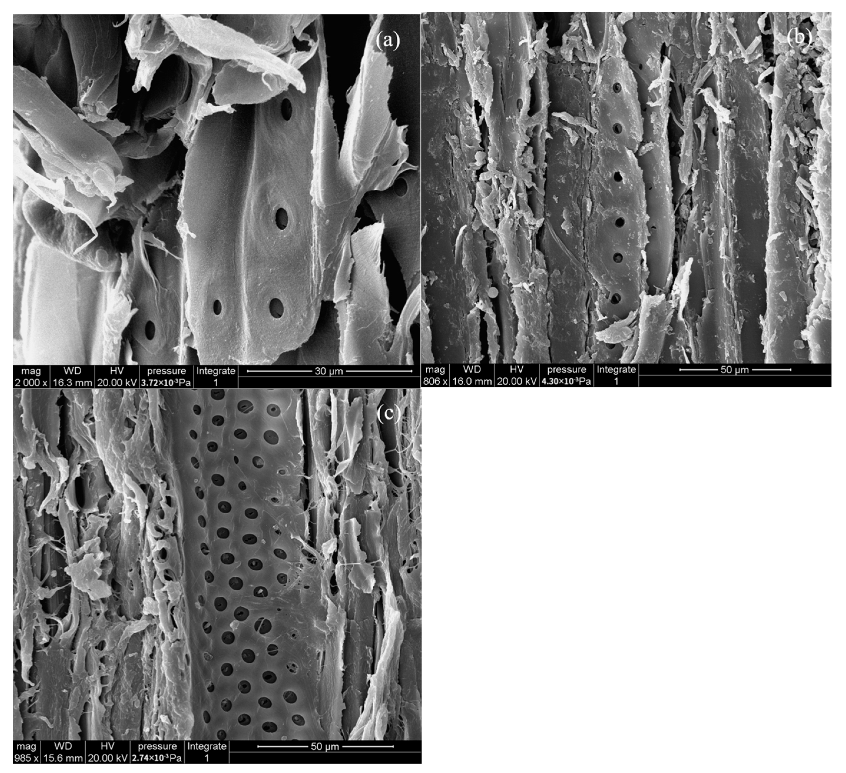 Forests 14 01832 g009