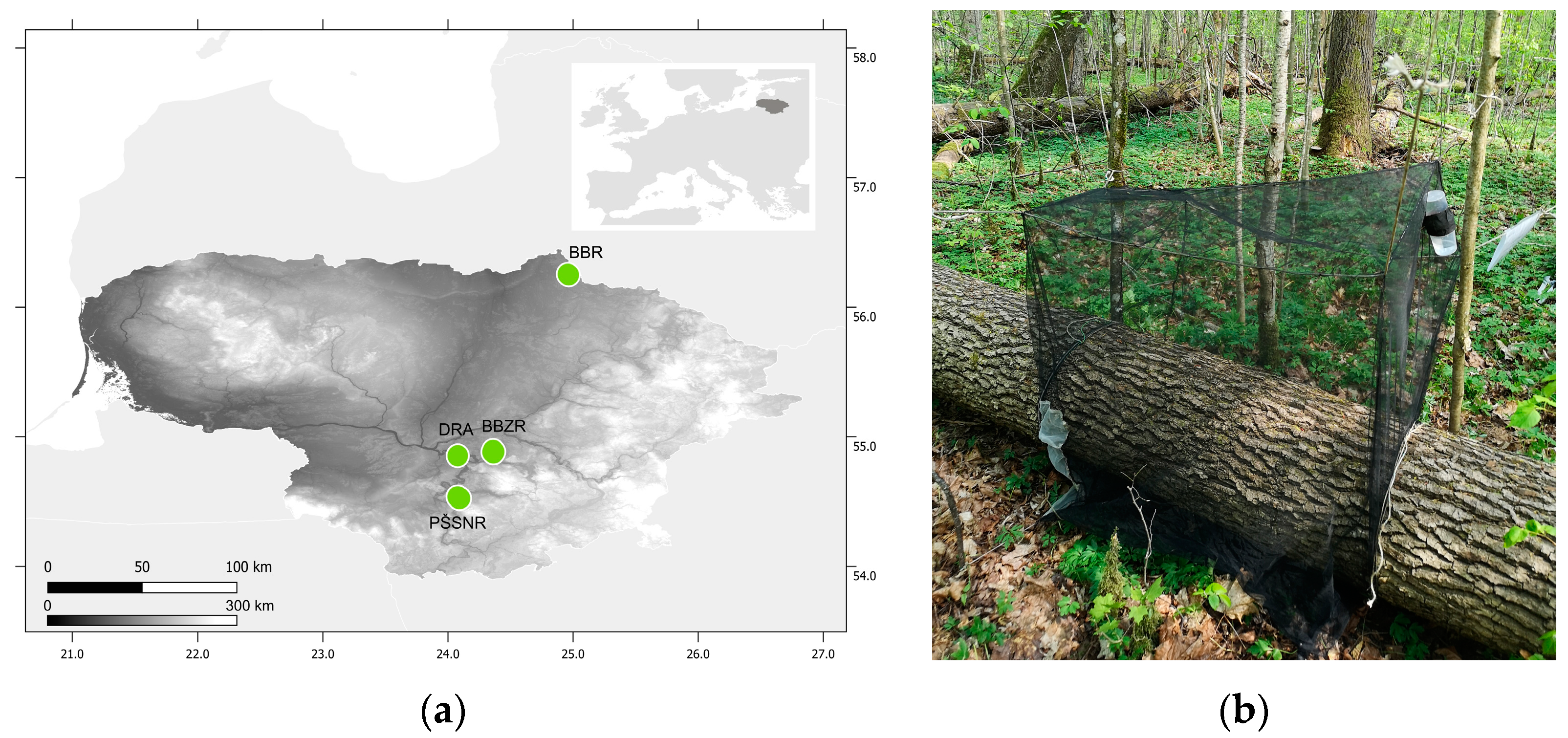Forests 14 01836 g001 Forests 14 01836 g001