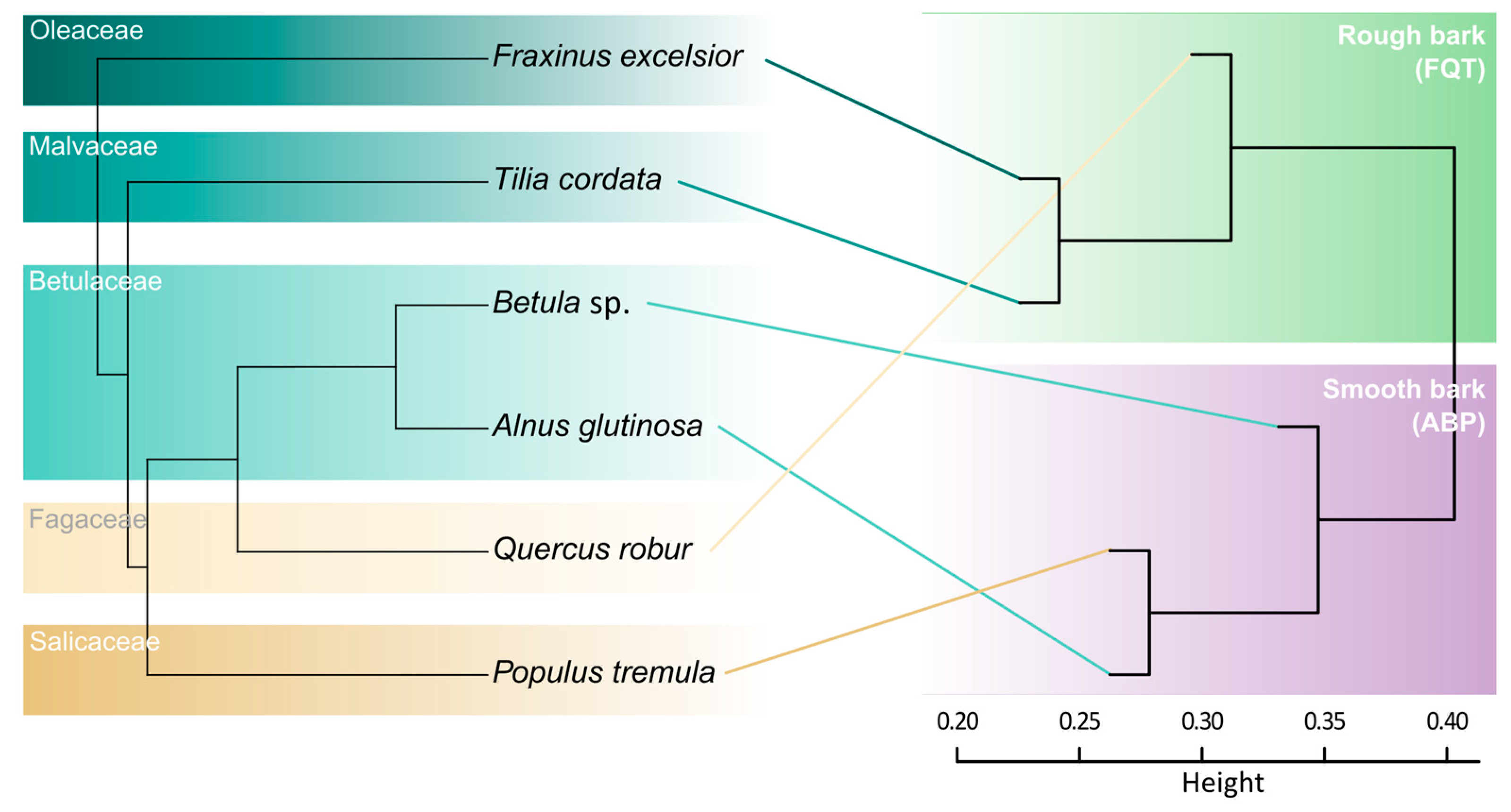 Forests 14 01836 g005 Forests 14 01836 g005
