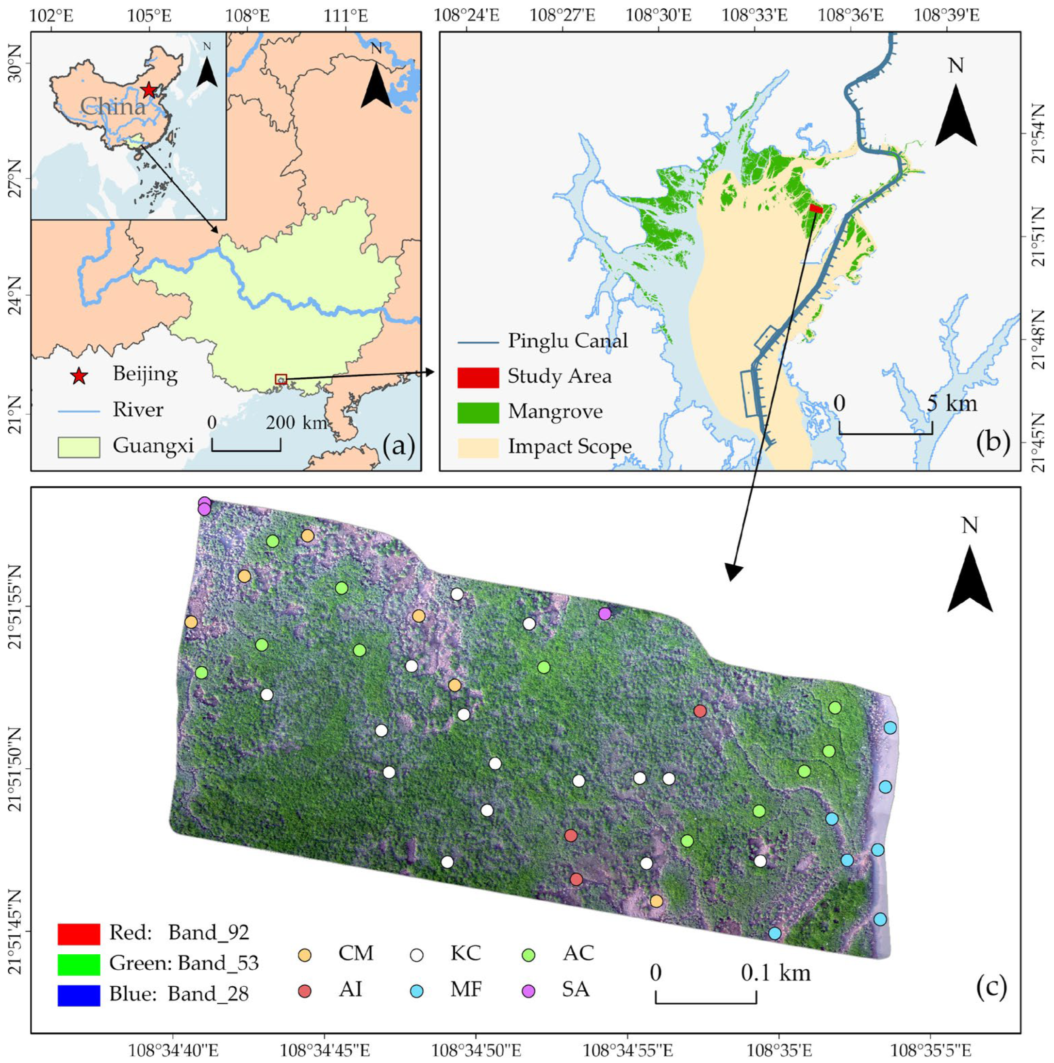 Forests 14 01838 g001