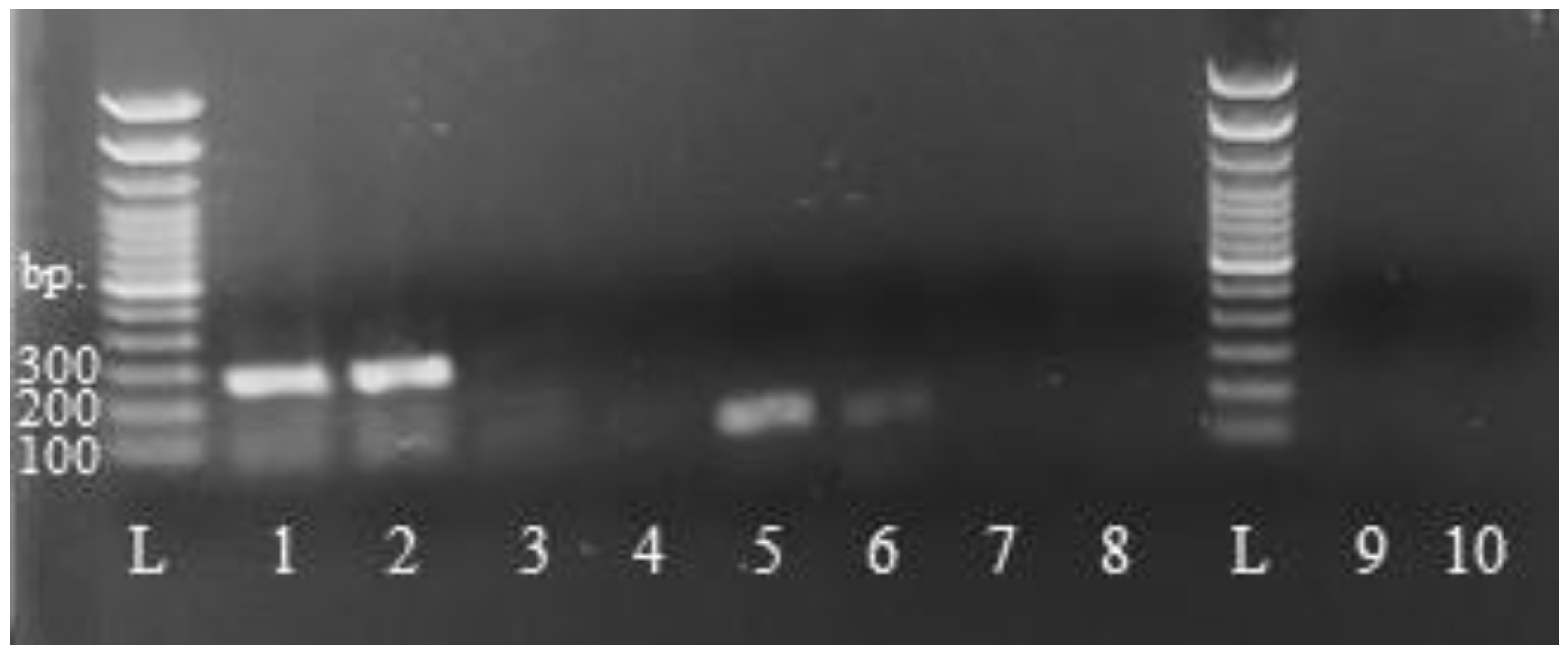 Forests 14 01853 g001