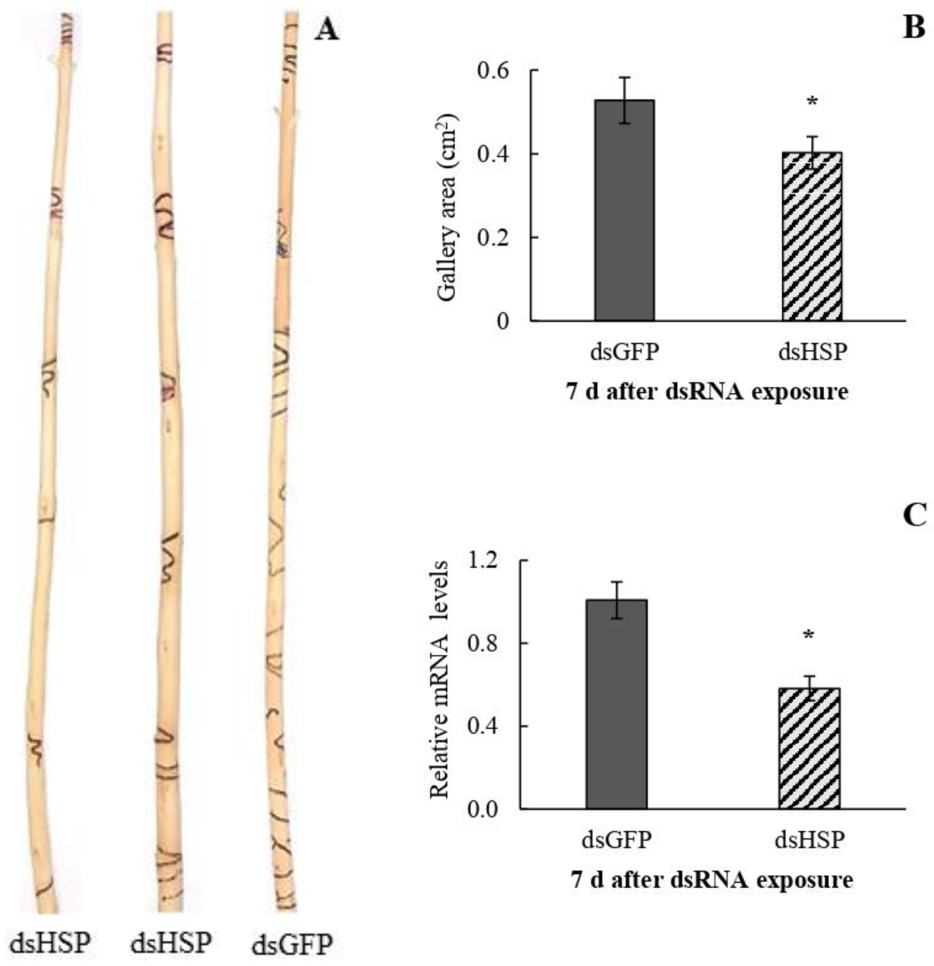 Forests 14 01853 g003