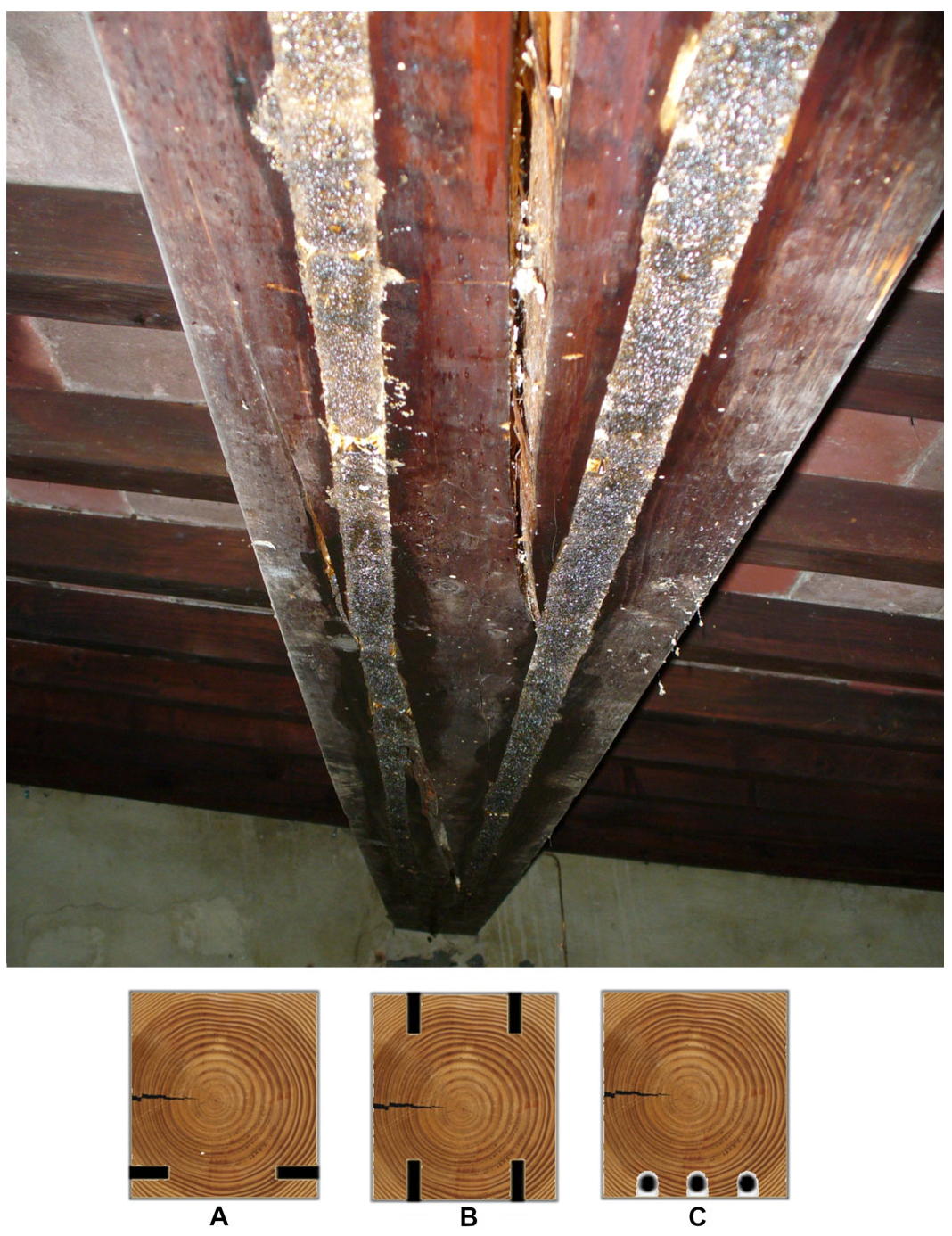 Forests 14 01854 g001