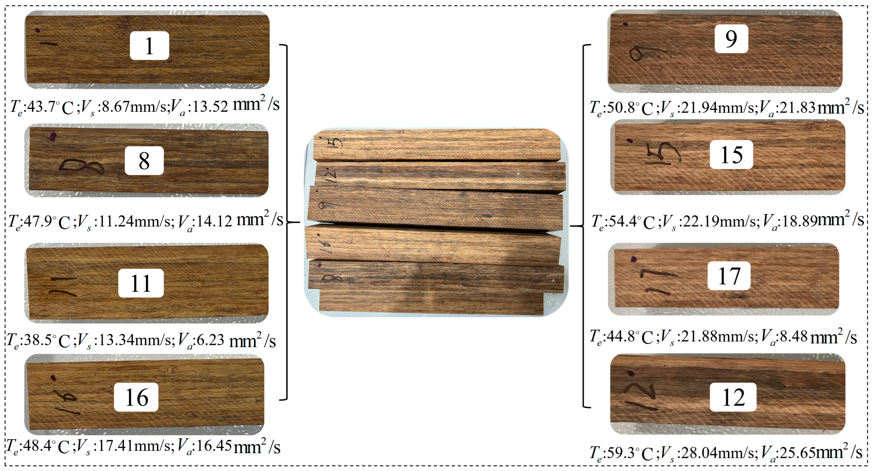 Forests 14 01855 g012