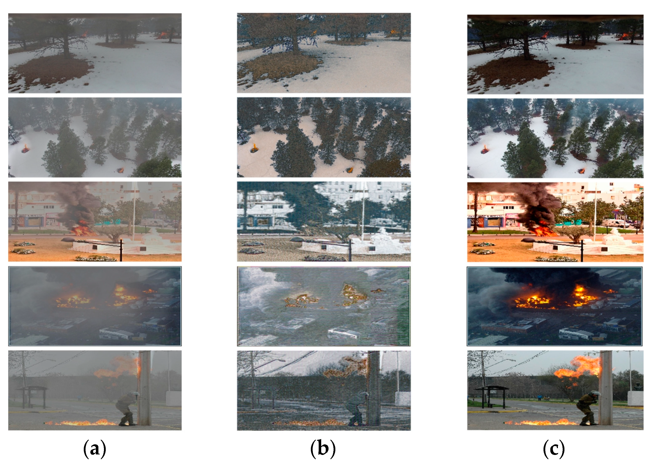 Forests 14 01859 g008