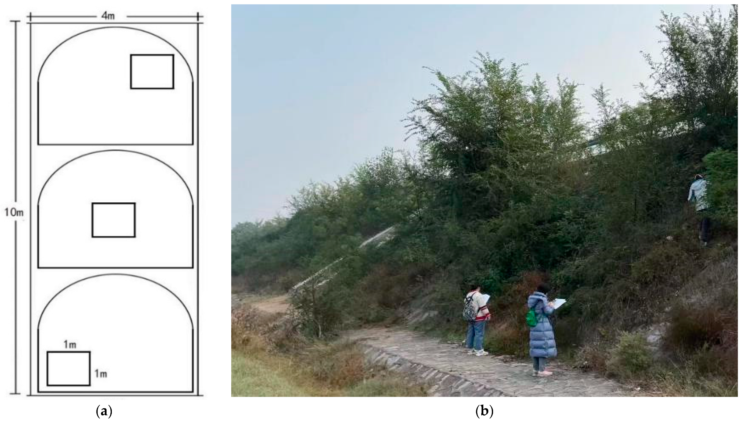 Forests 14 01863 g002