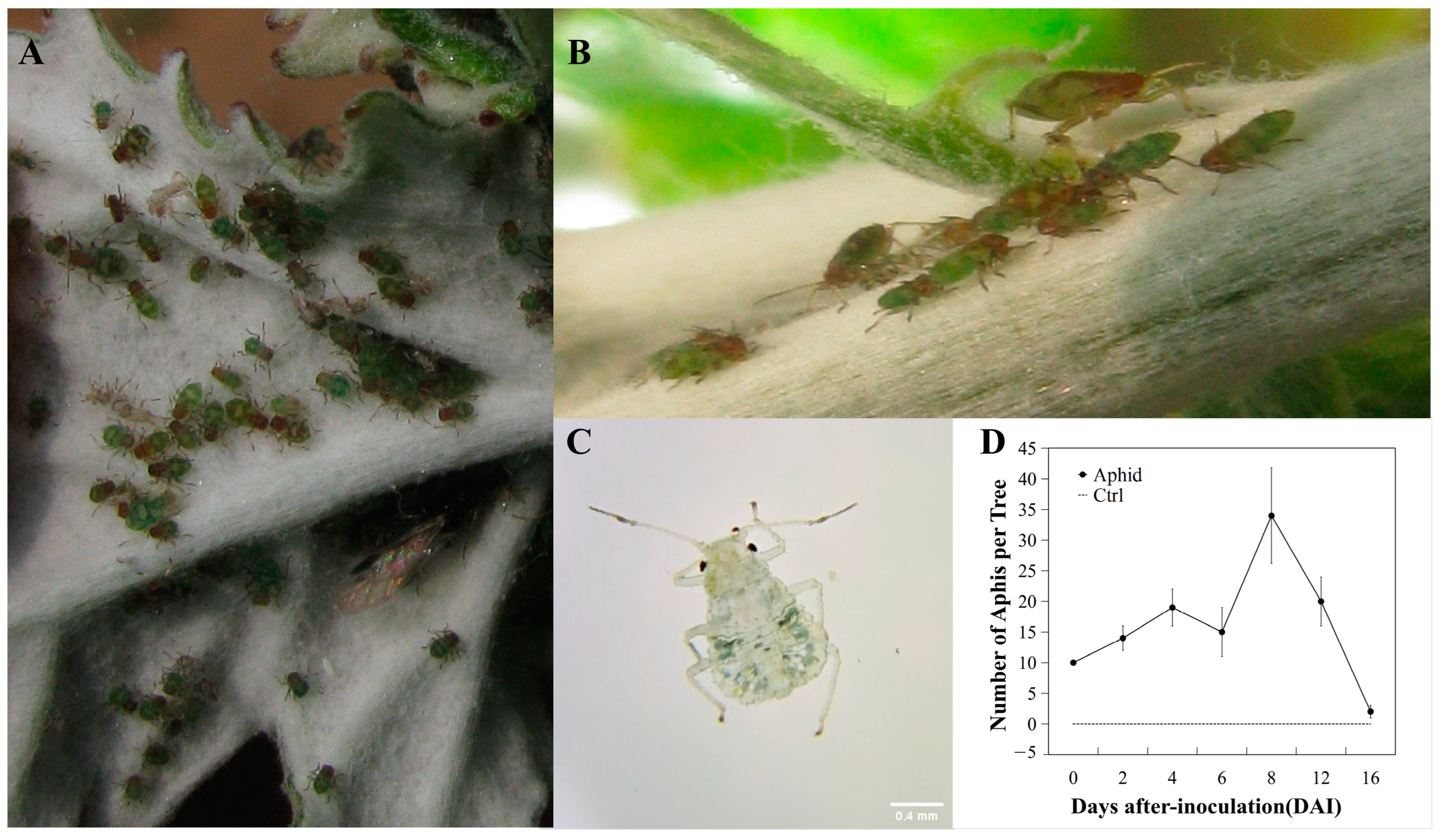 Forests 14 01866 g001