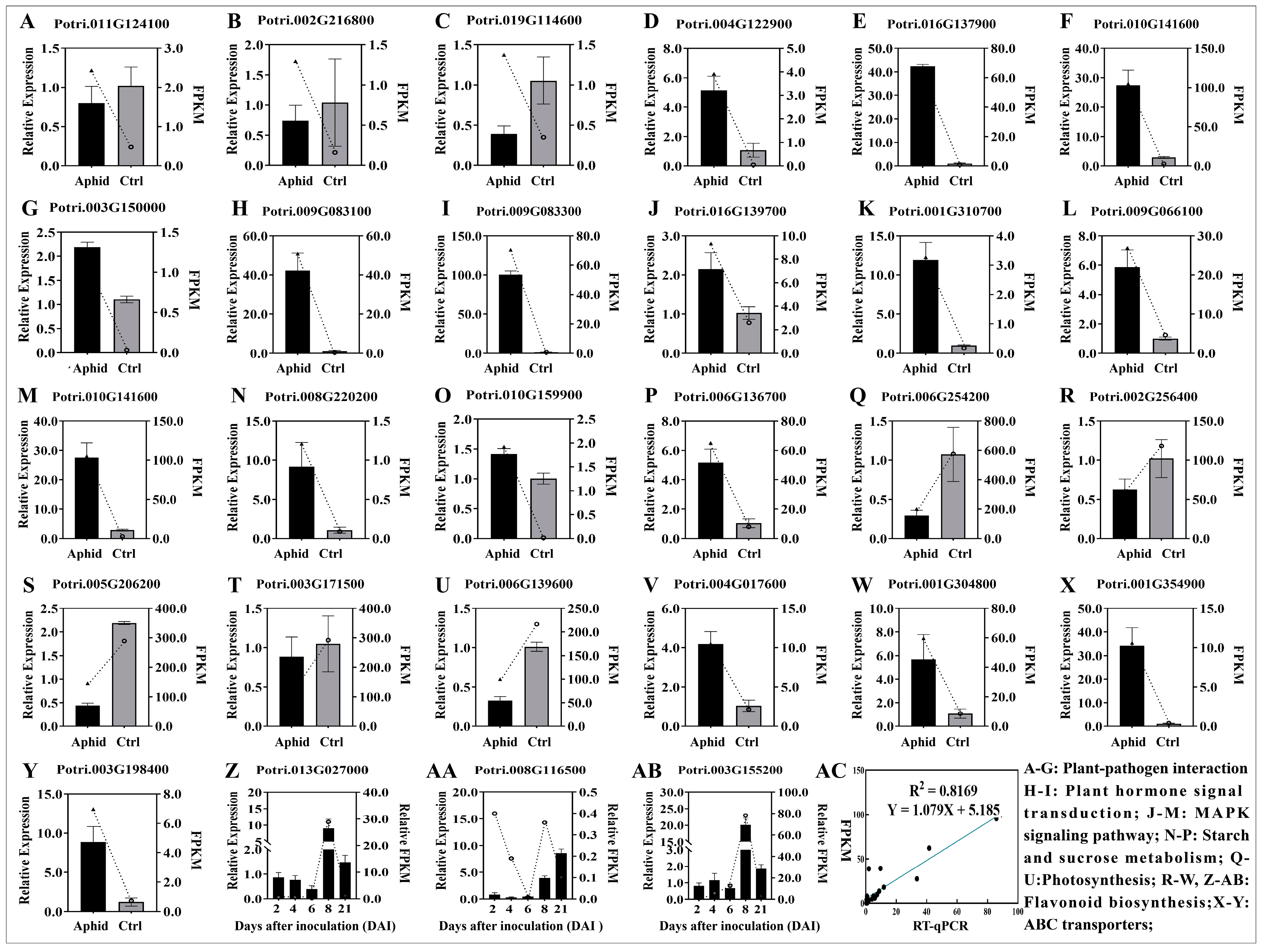 Forests 14 01866 g007
