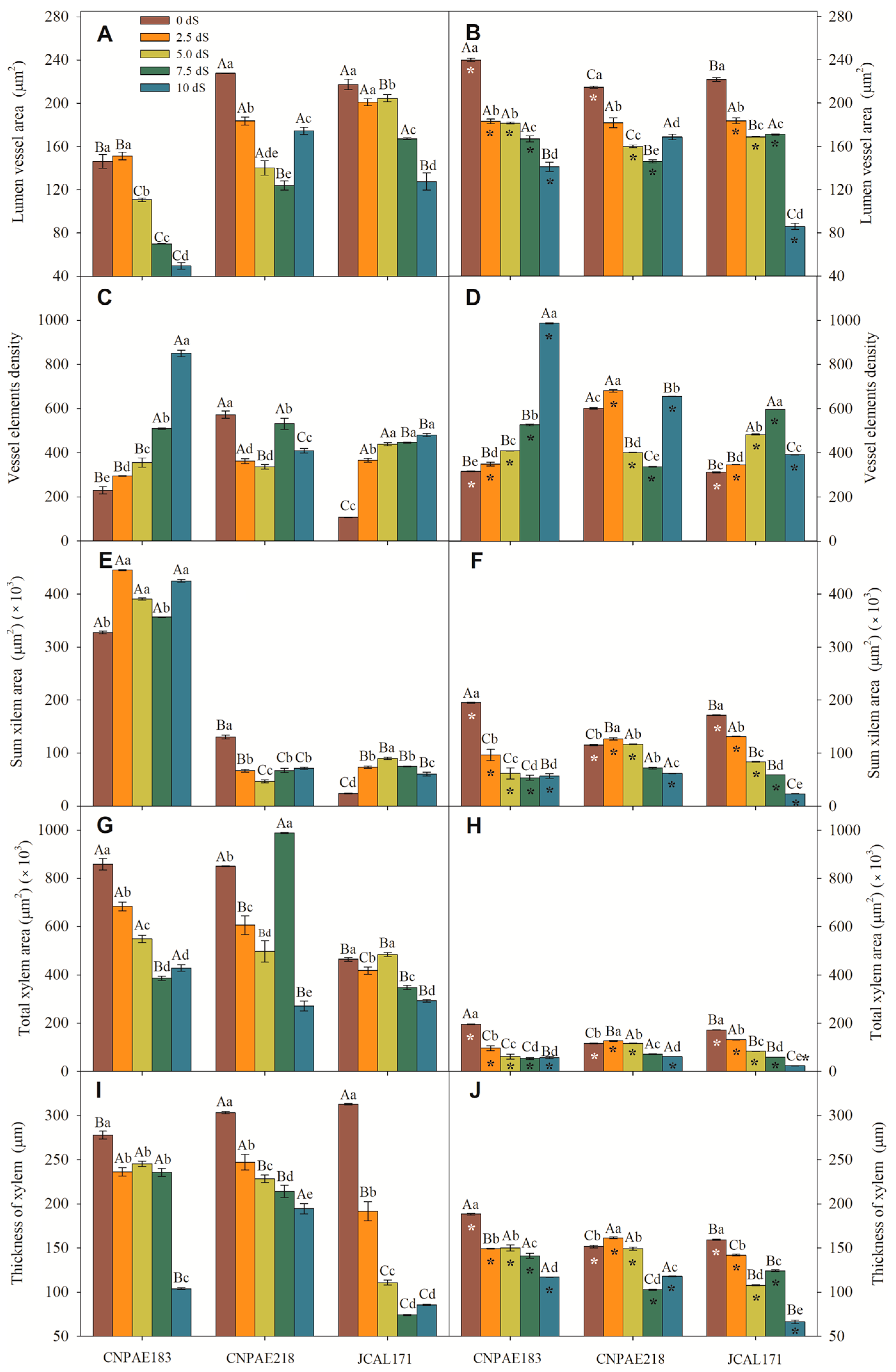 Forests 14 01868 g004