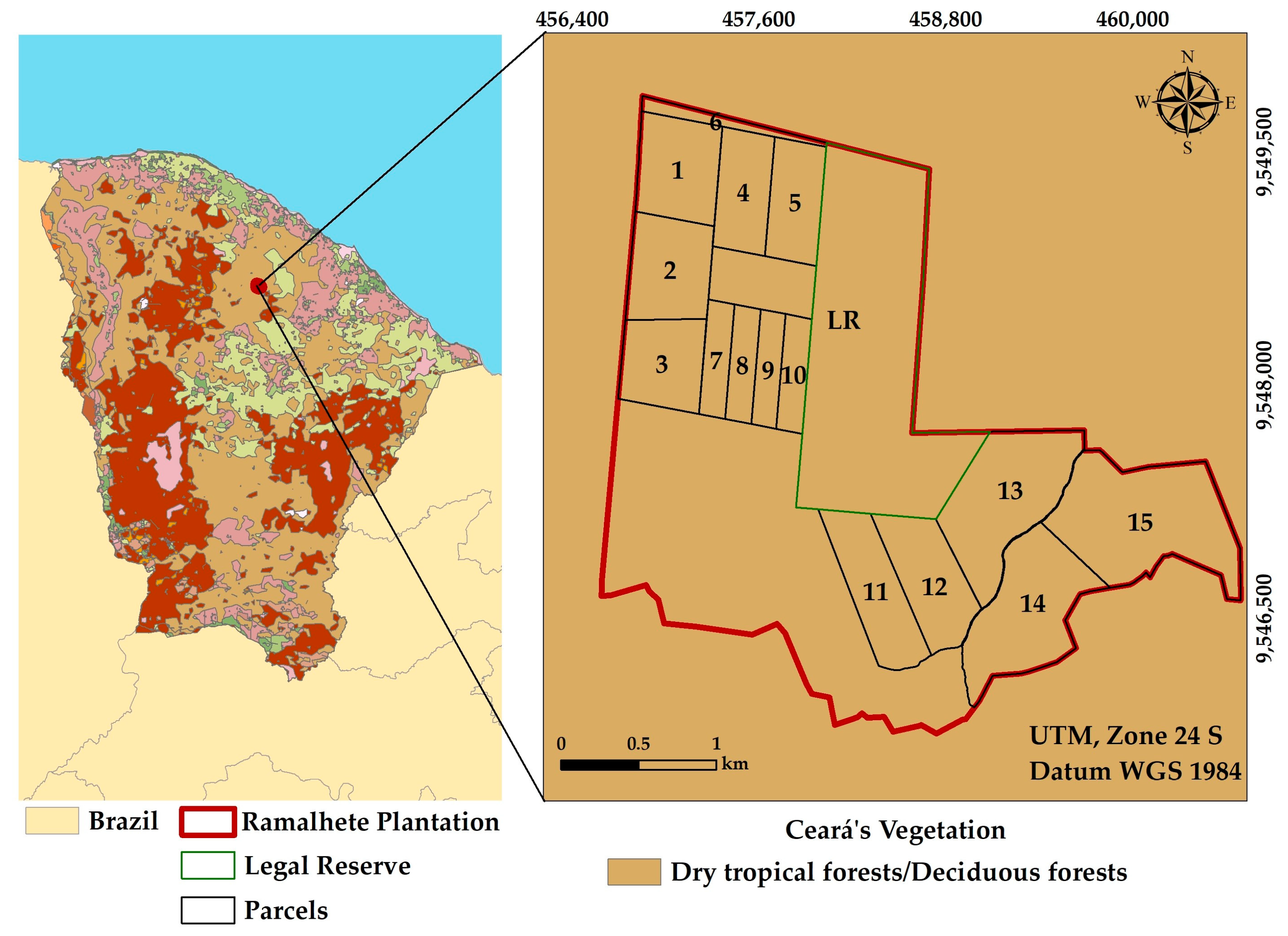 Forests 14 01870 g004 Forests 14 01870 g004