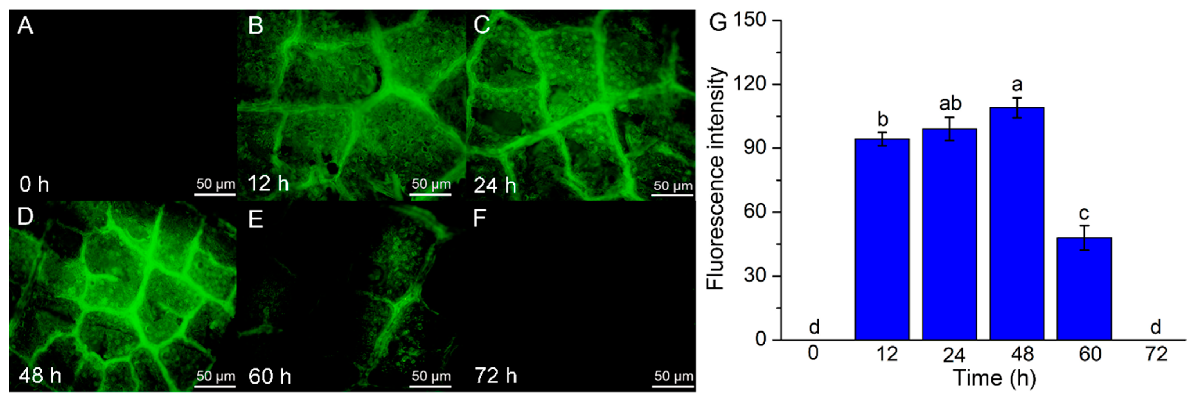 Forests 14 01872 g003