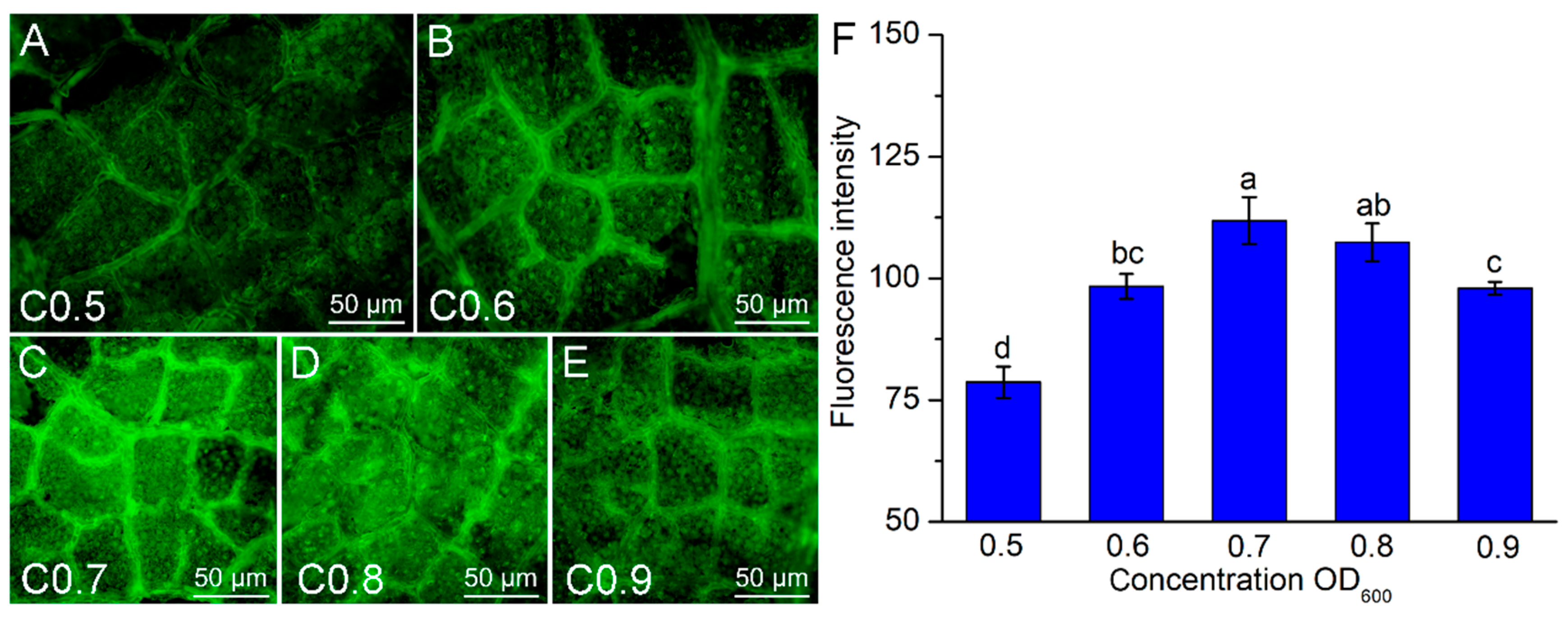Forests 14 01872 g004