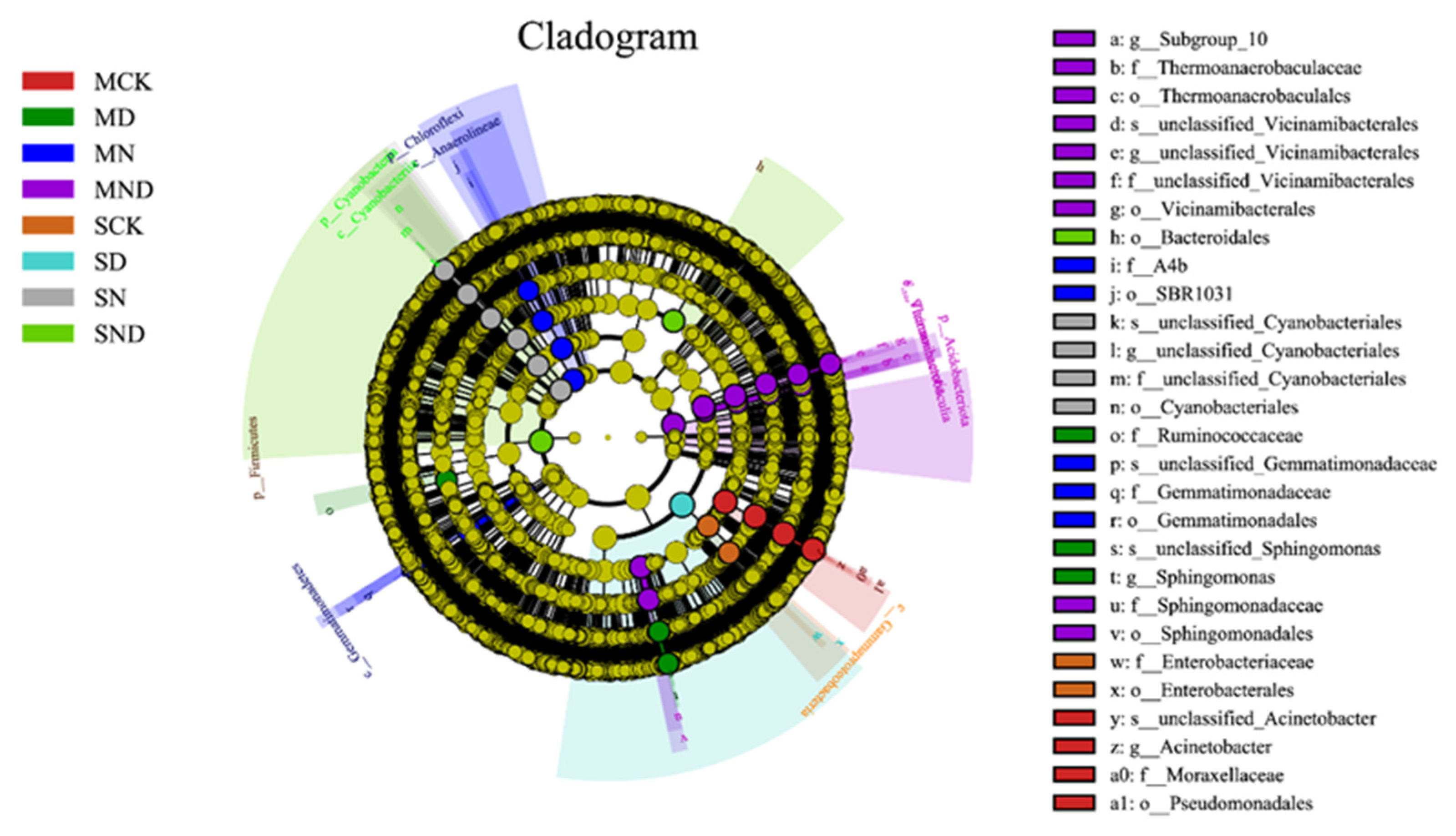 Forests 14 01879 g009