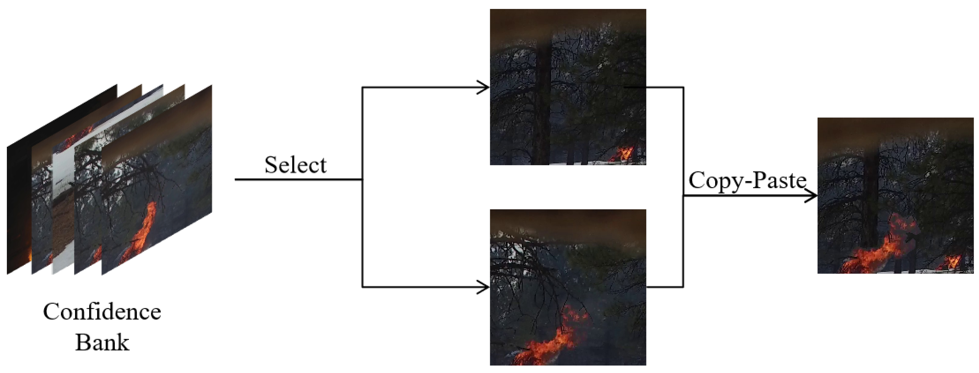 Forests 14 01887 g009