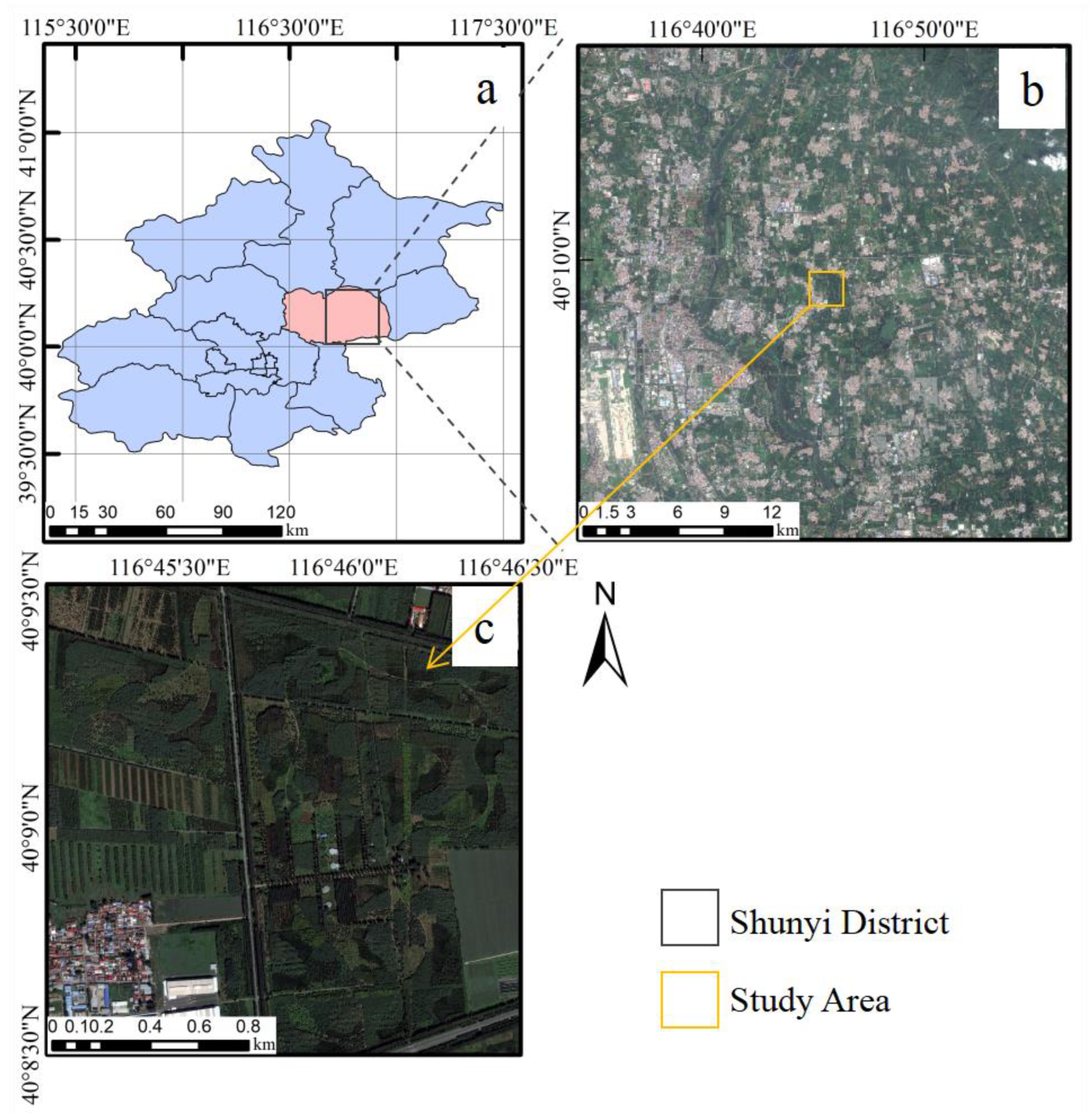 Forests 14 01889 g001