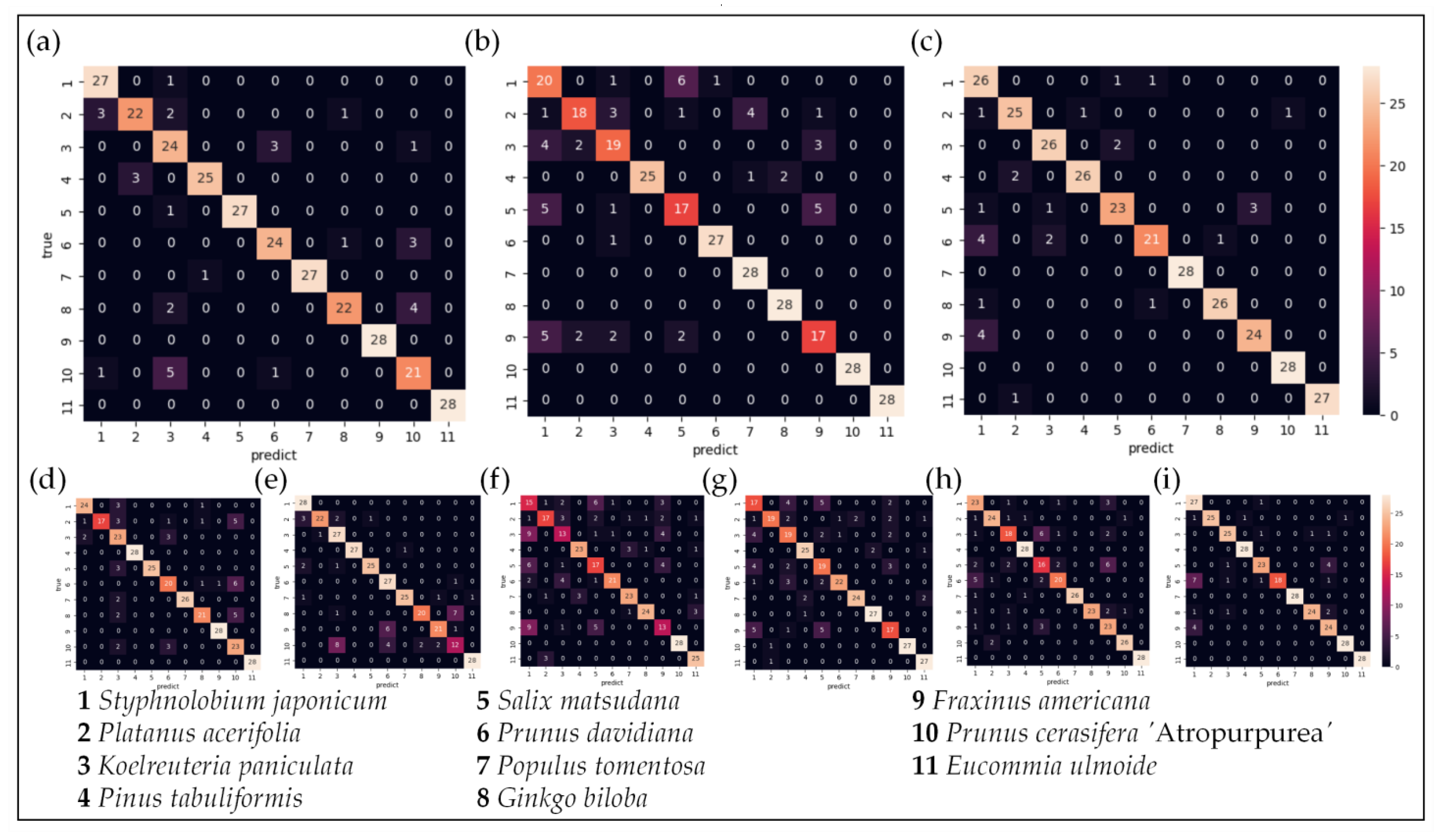 Forests 14 01889 g006