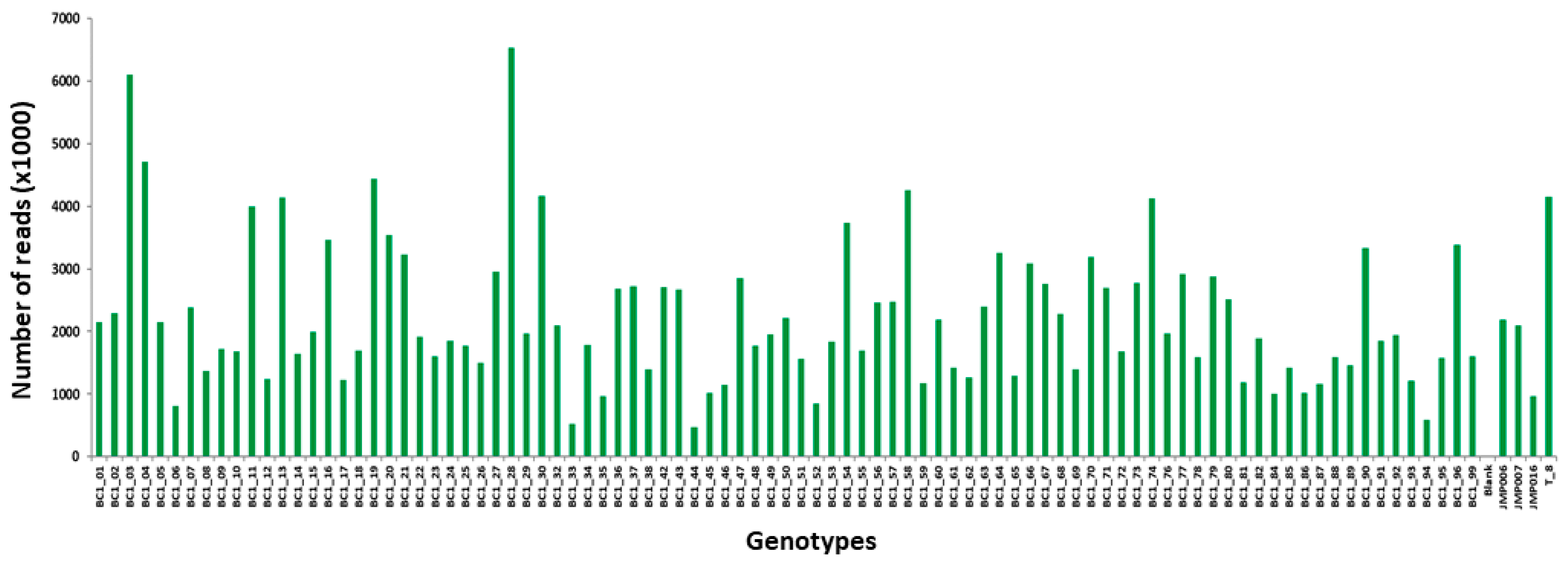 Forests 14 01907 g001