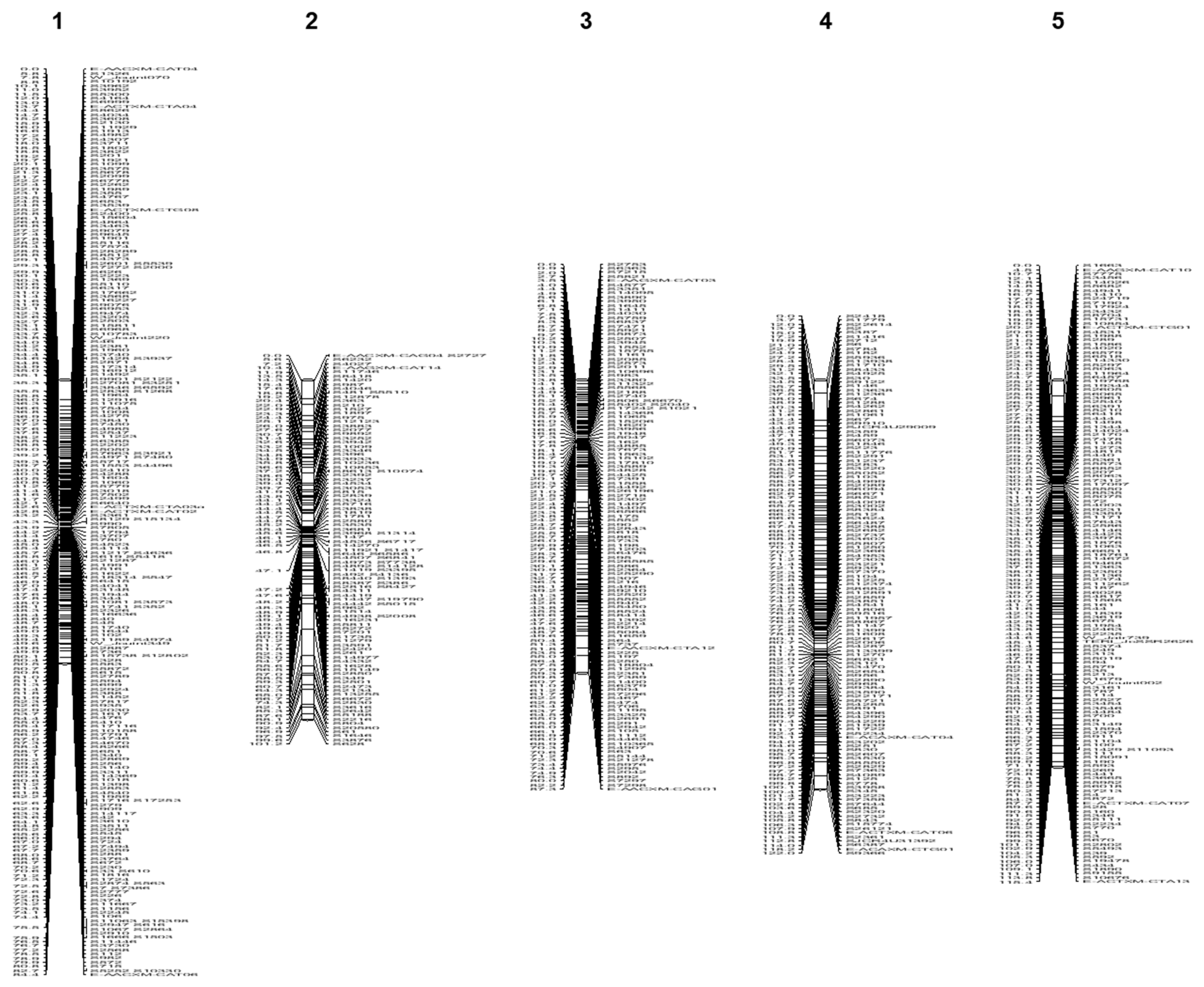 Forests 14 01907 g002a