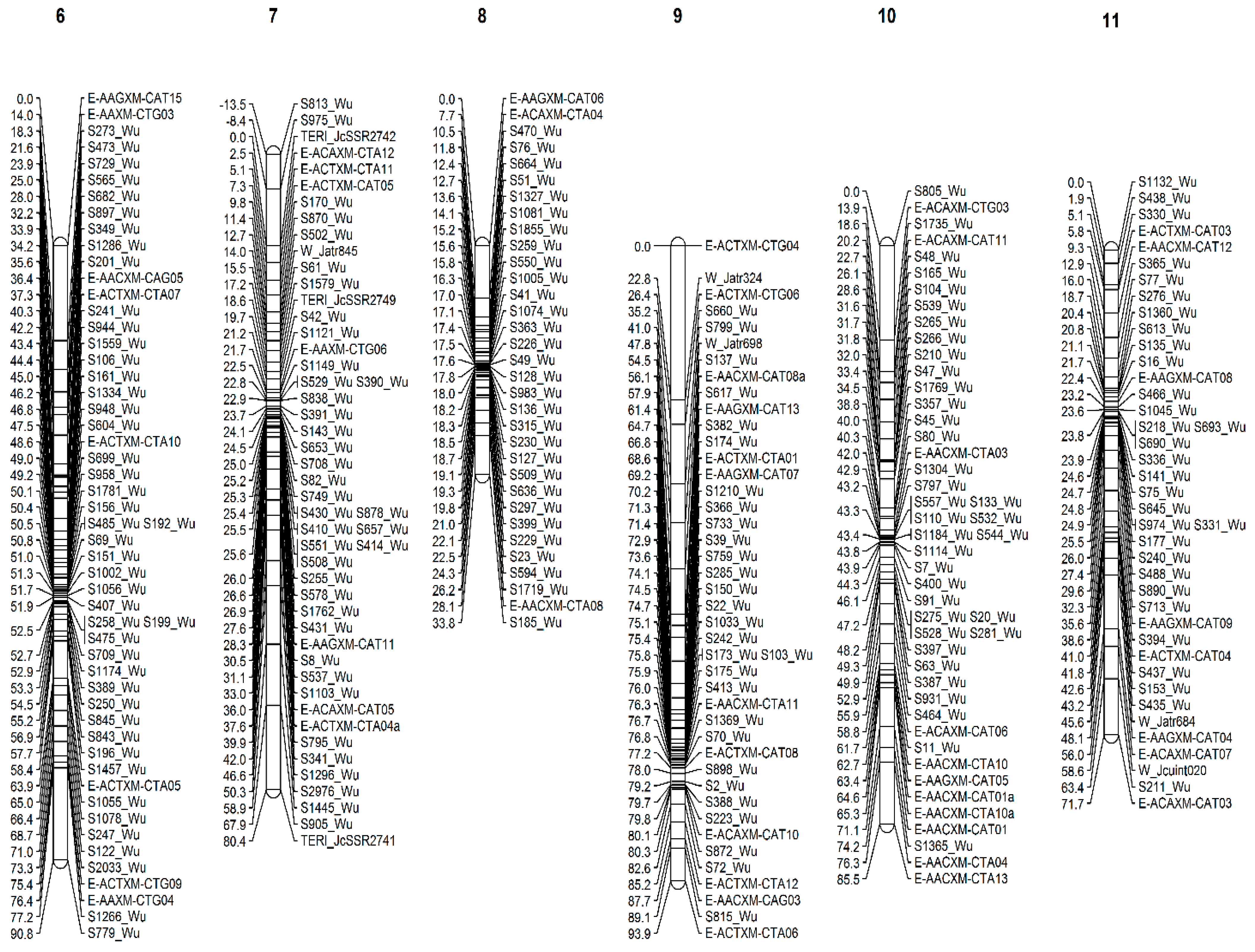 Forests 14 01907 g003b