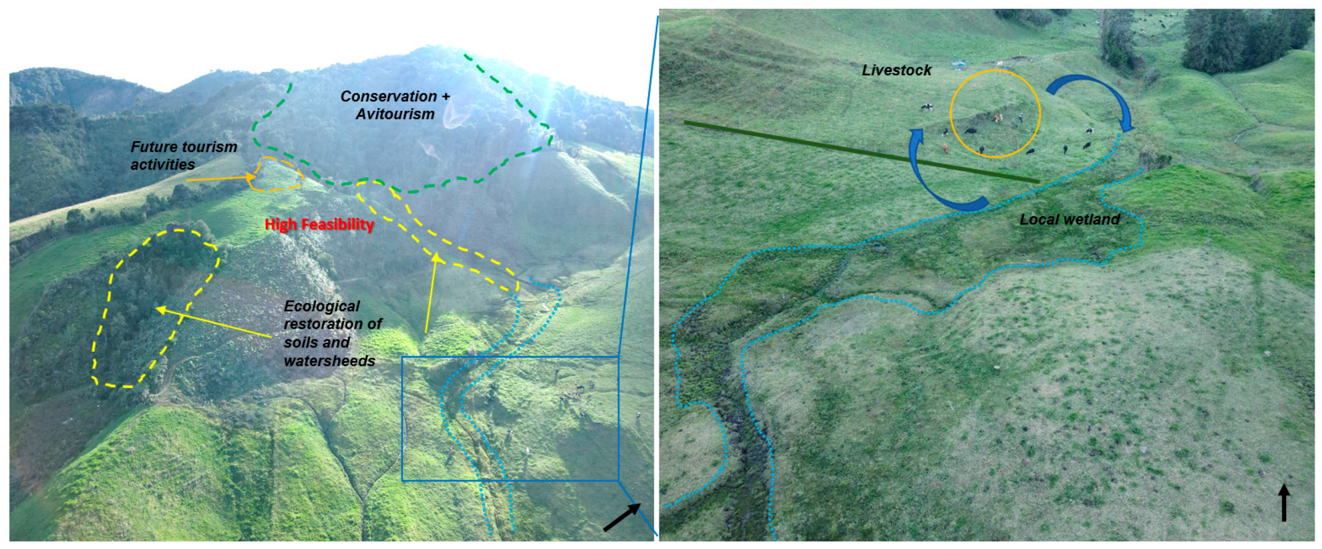 Forests 14 01913 g007