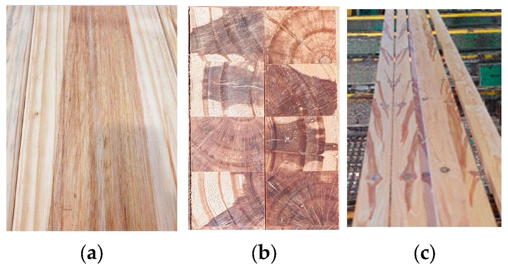 Forests 14 01916 g001