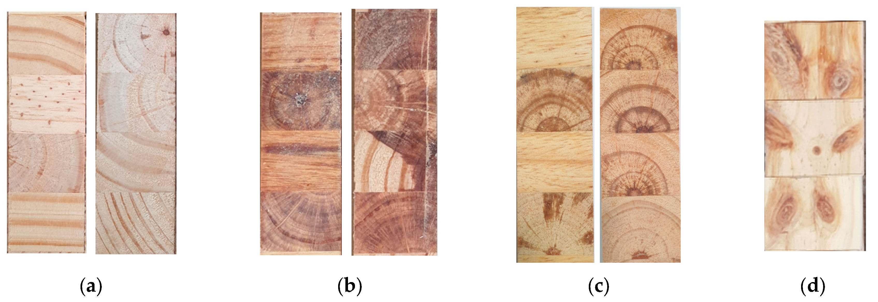 Forests 14 01916 g002