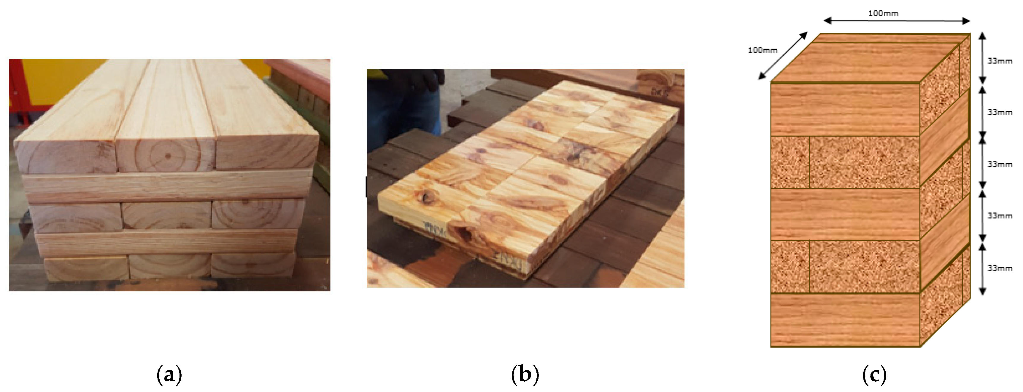 Forests 14 01916 g003