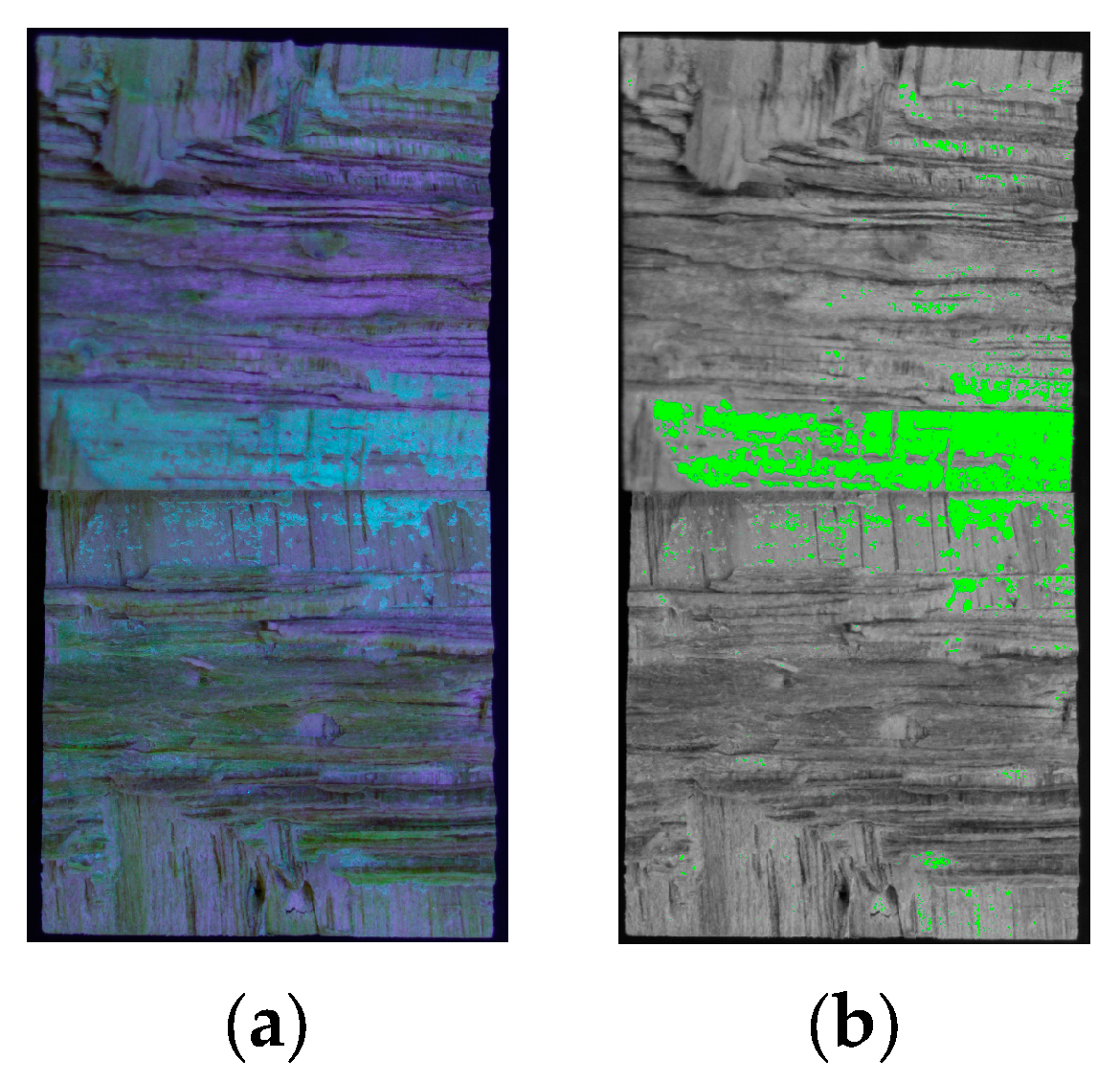 Forests 14 01916 g005