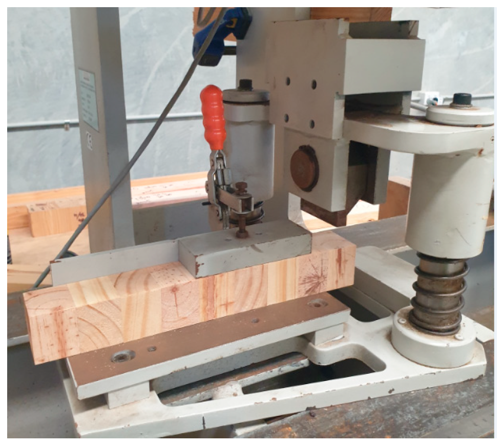 Forests 14 01916 g006