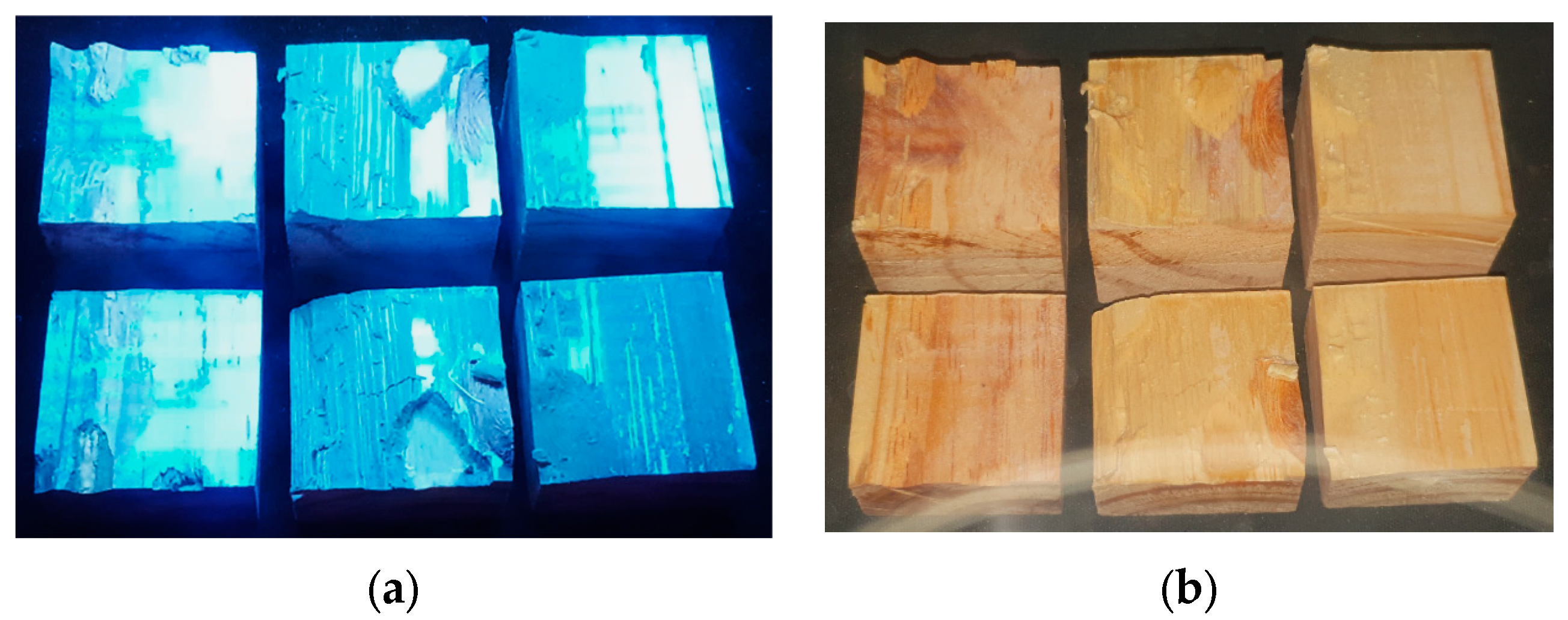 Forests 14 01916 g007