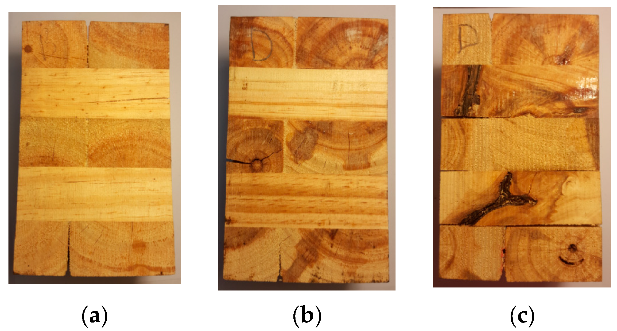 Forests 14 01916 g008