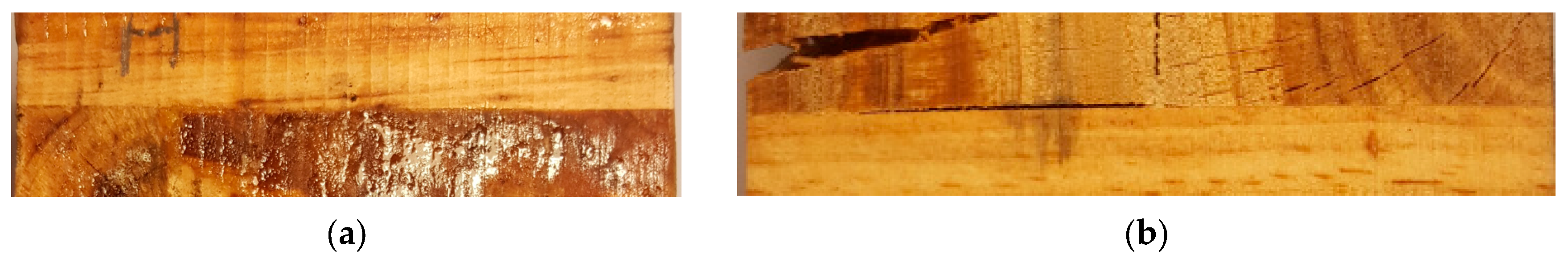 Forests 14 01916 g009