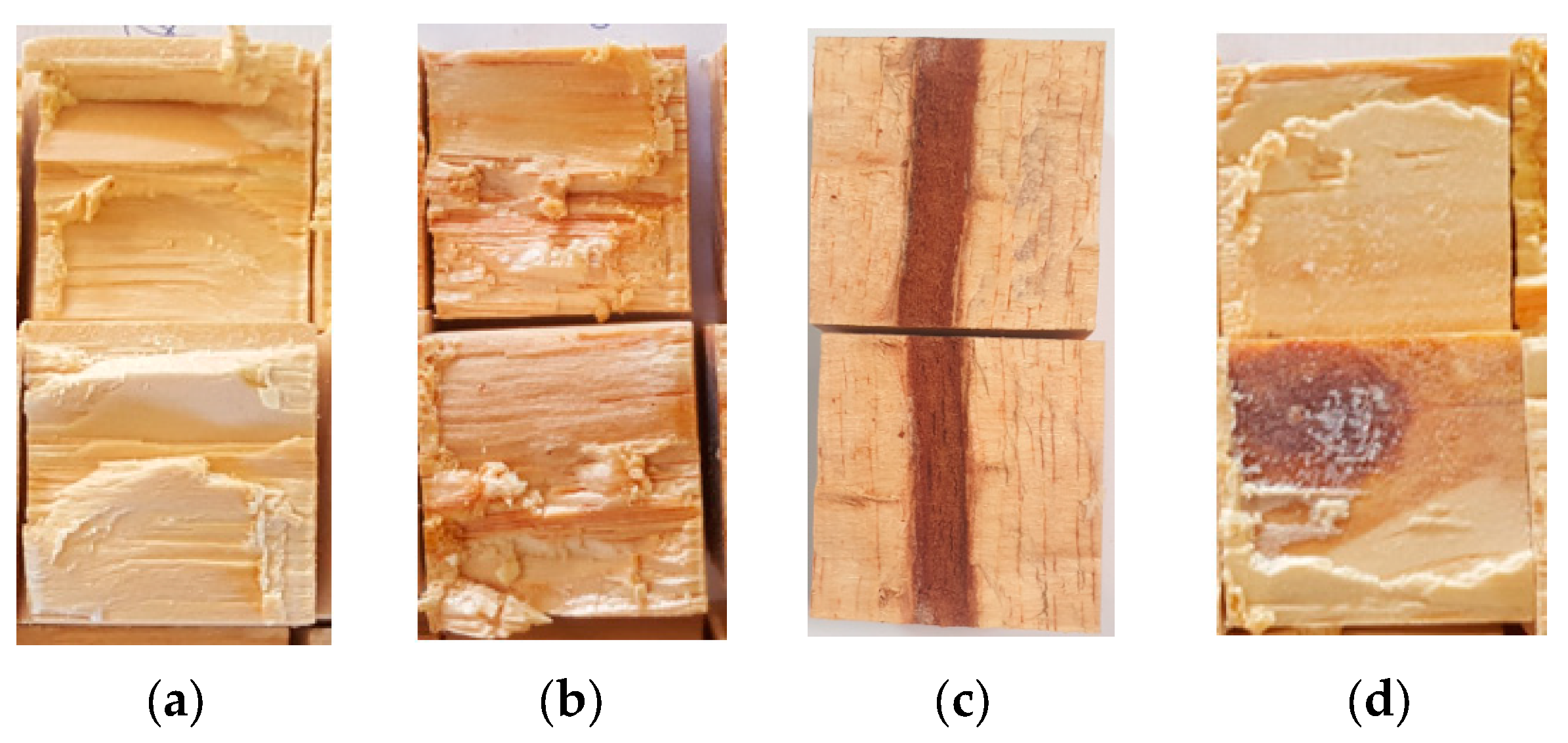 Forests 14 01916 g010