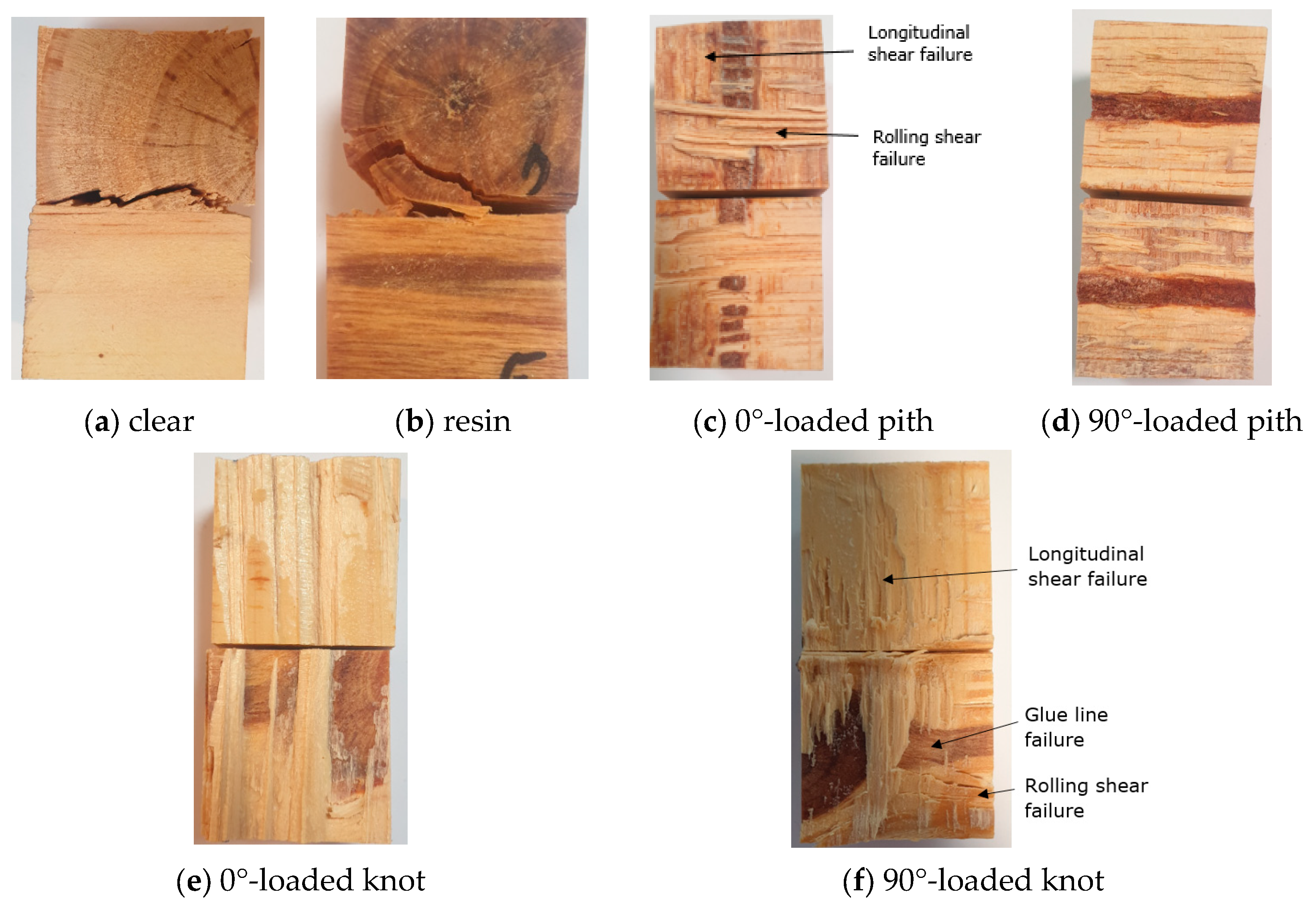 Forests 14 01916 g012