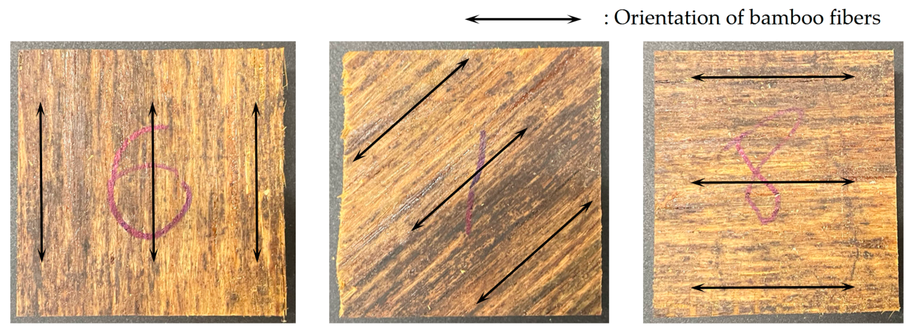 Forests 14 01924 g001