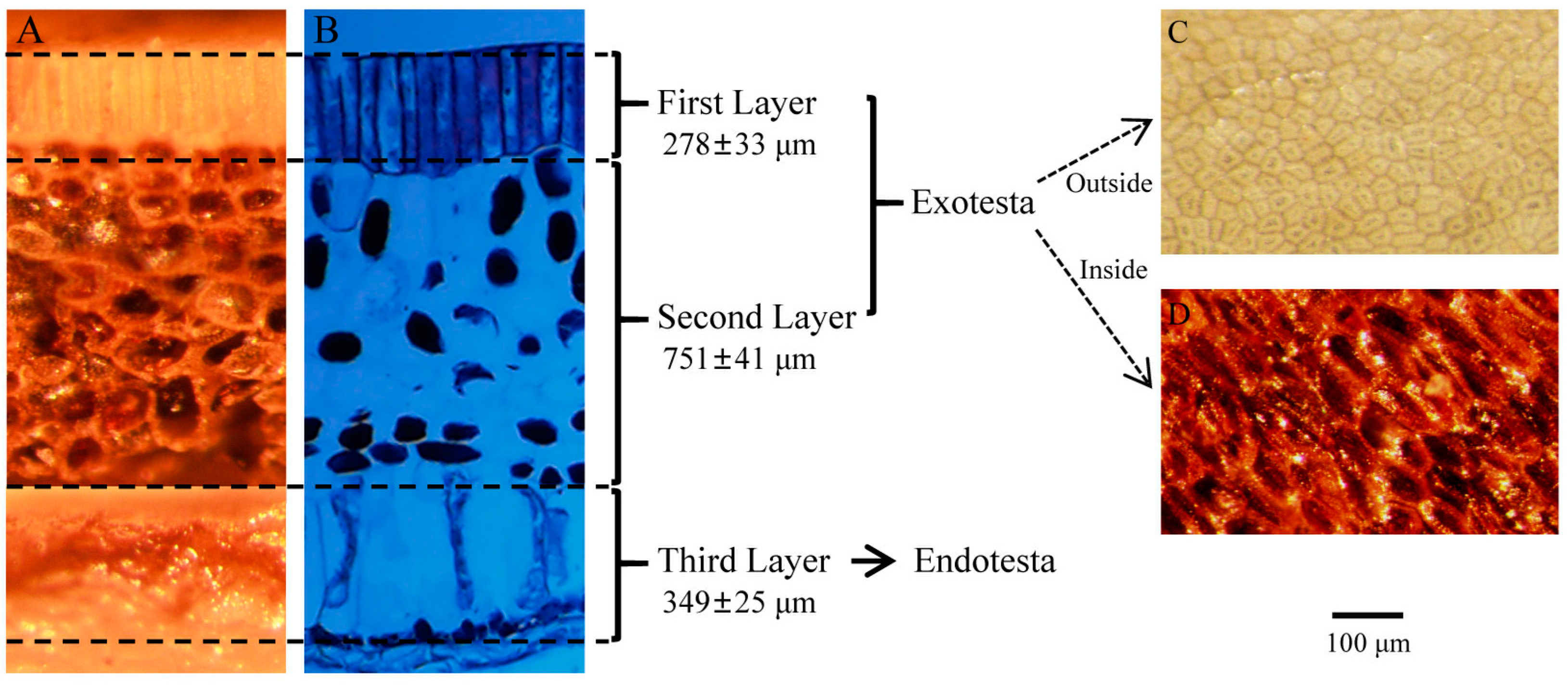 Forests 14 01928 g002 Forests 14 01928 g002