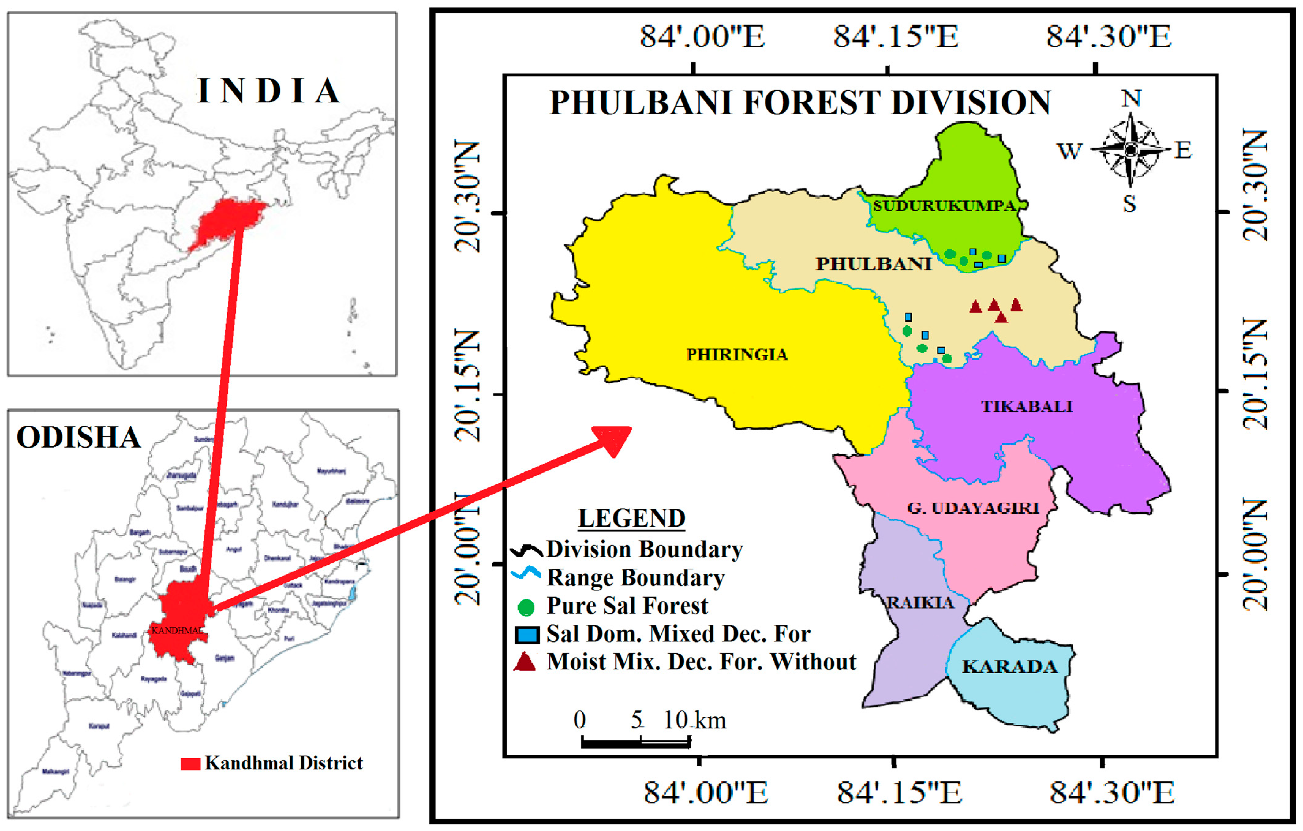 Forests 14 01931 g001