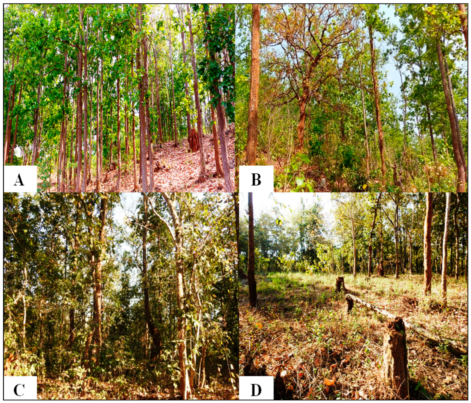 Forests 14 01931 g002