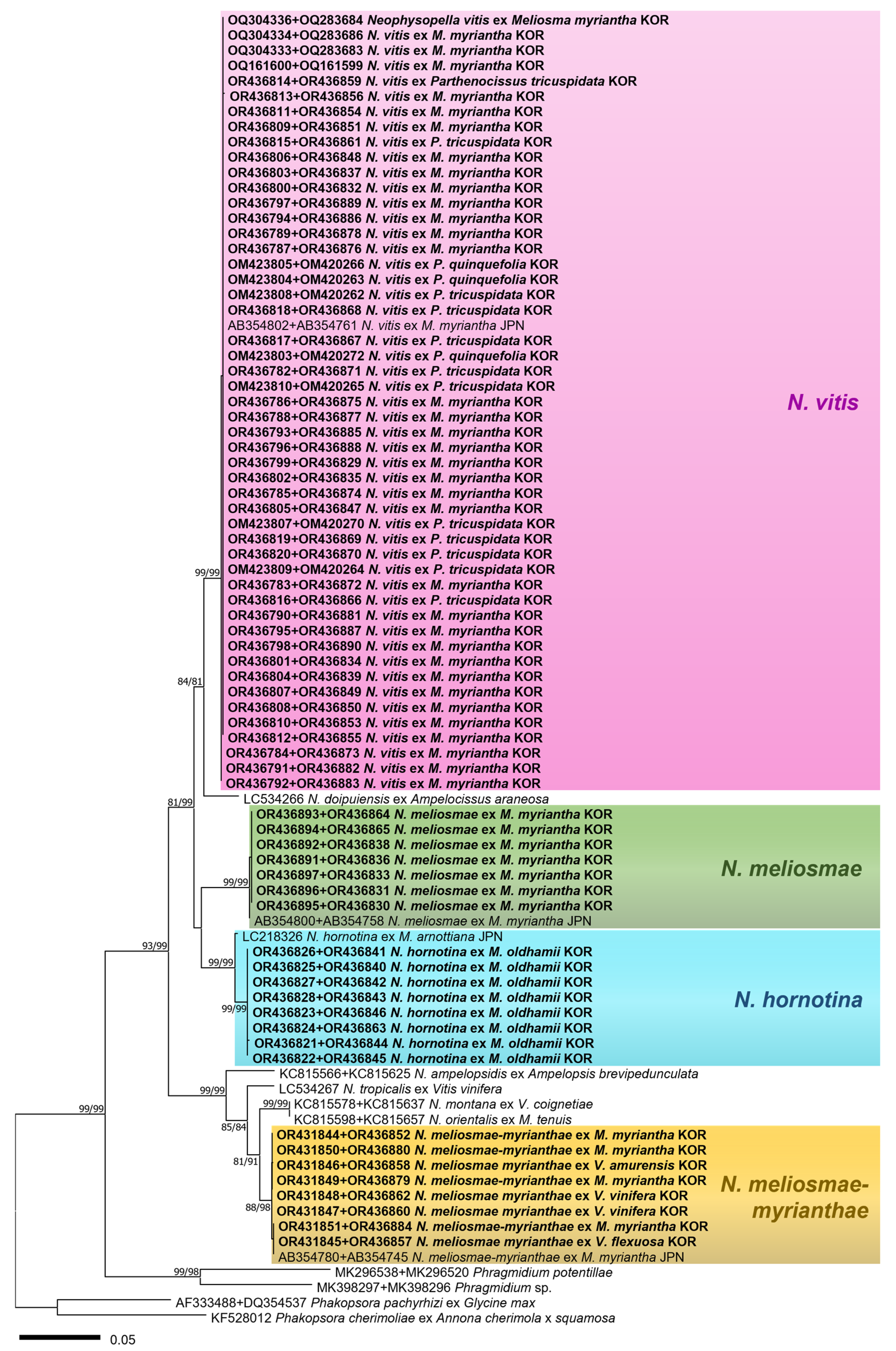 Forests 14 01934 g001