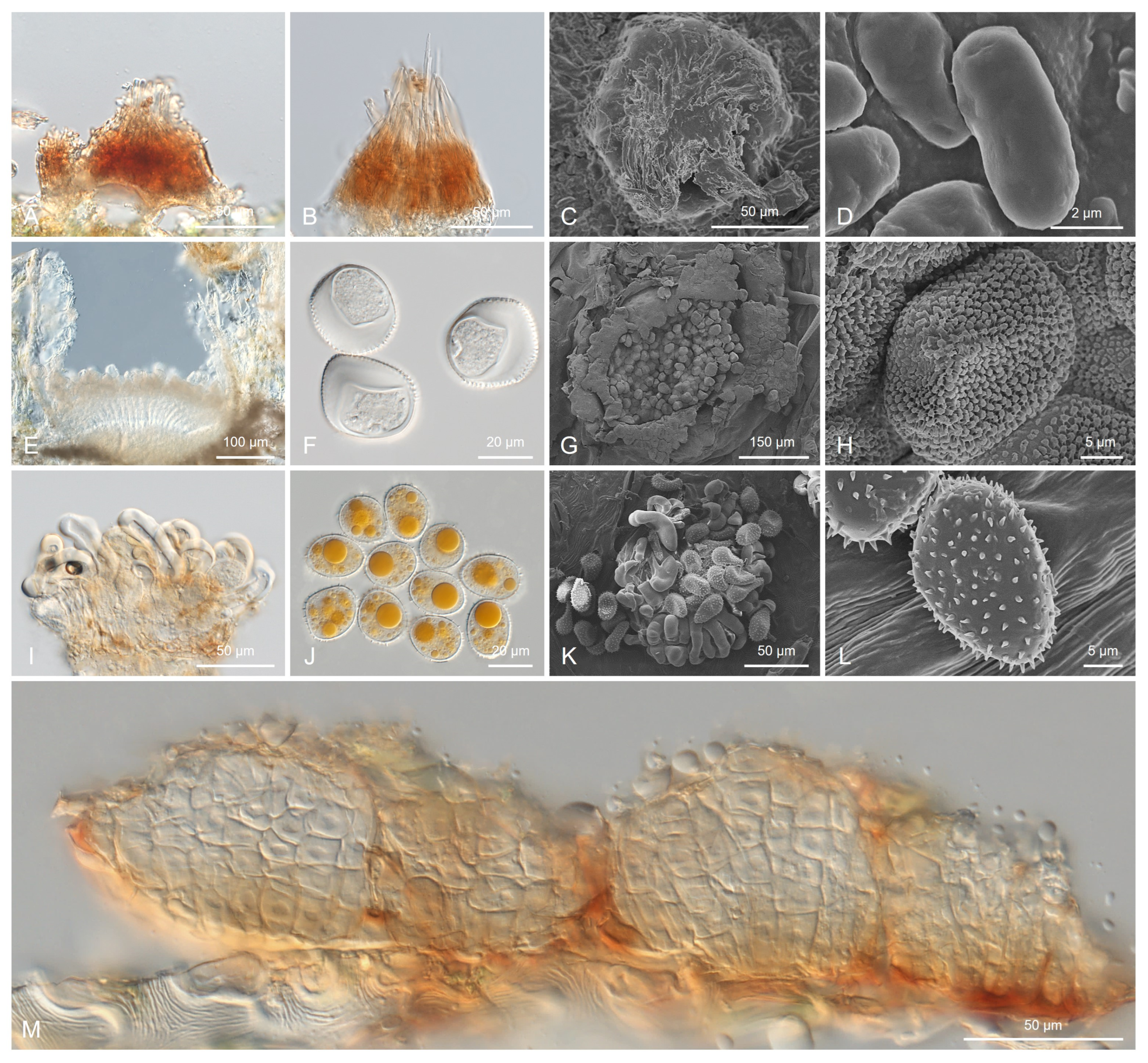 Forests 14 01934 g004