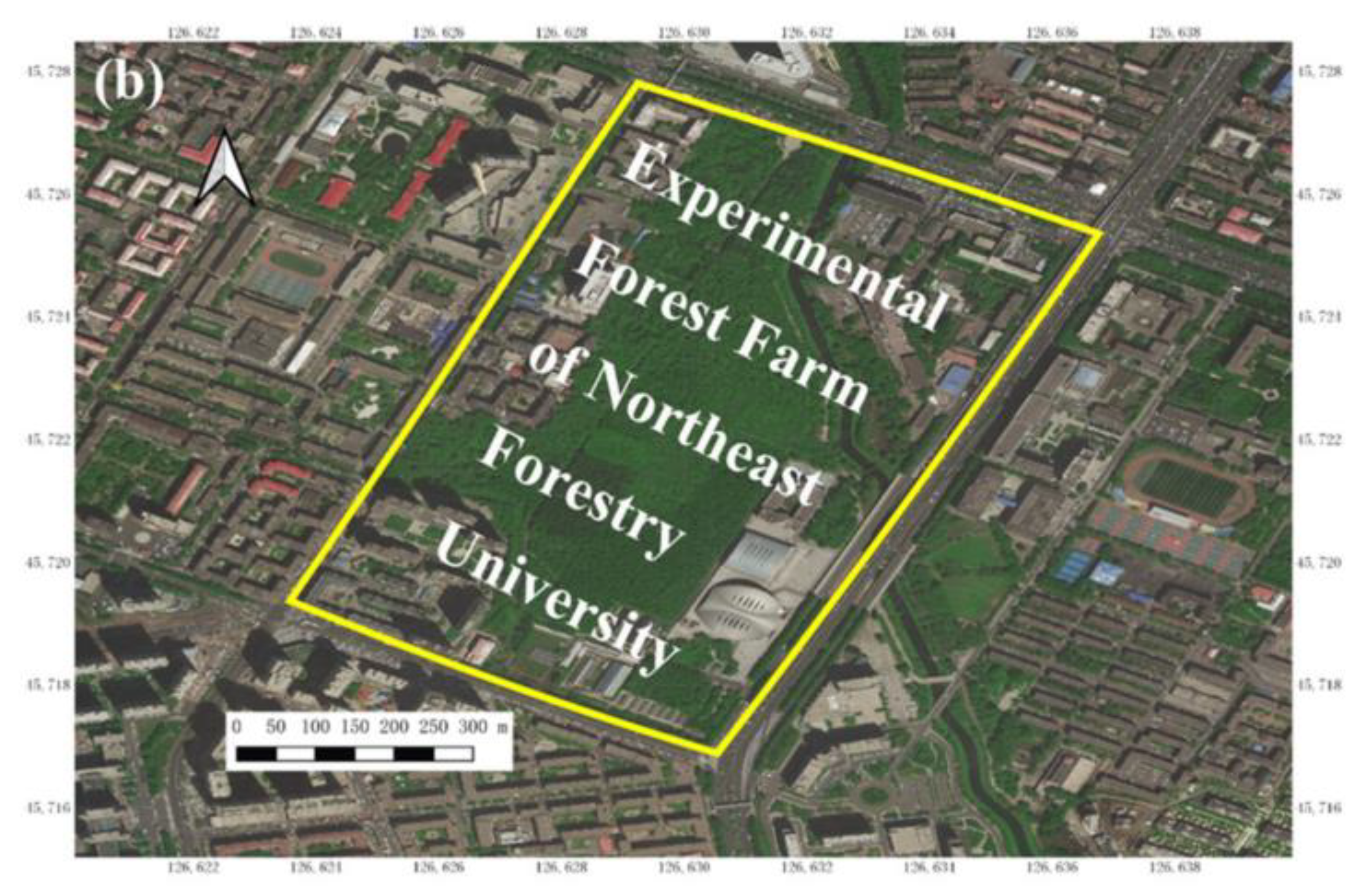 Forests 14 01937 g001b