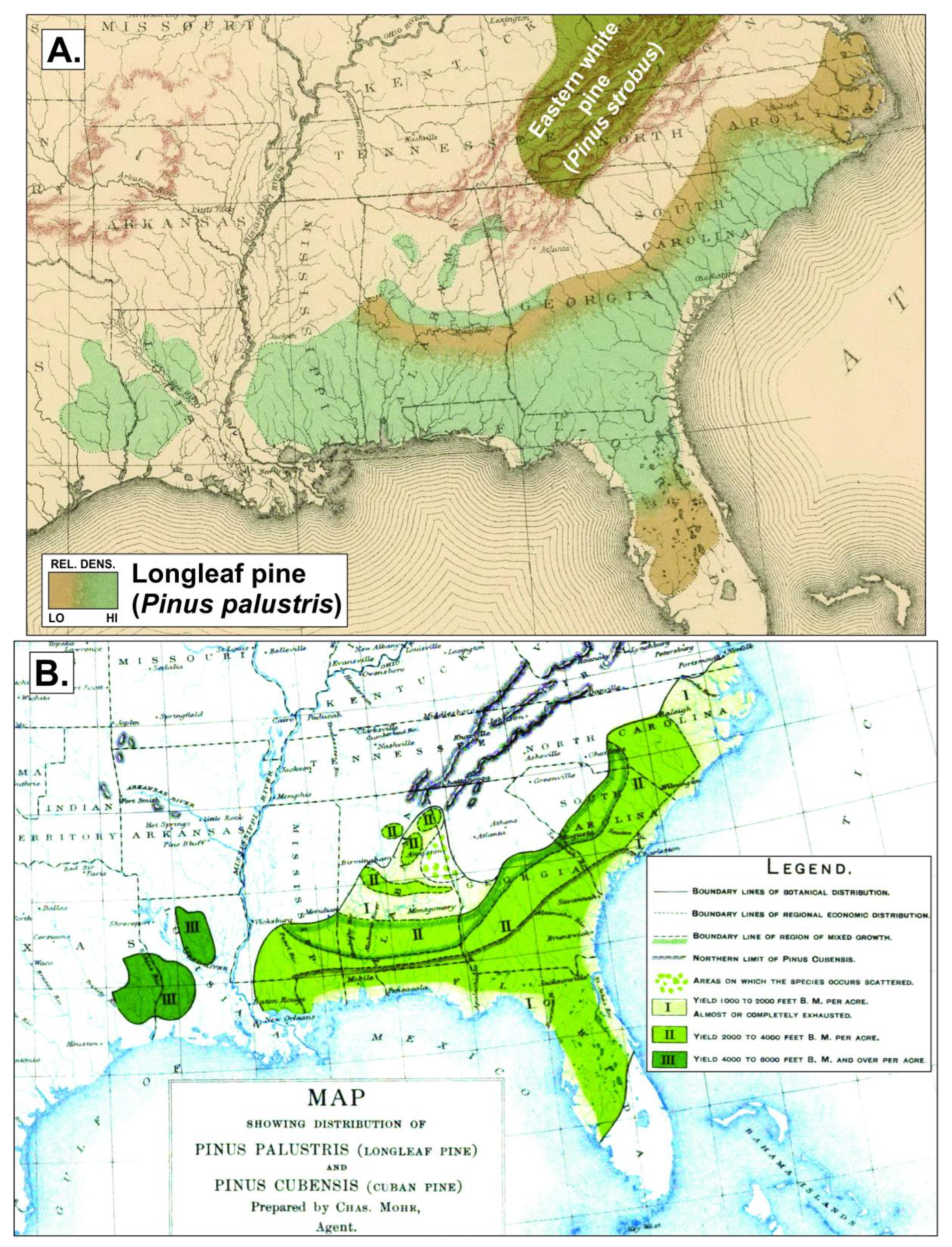 Forests 14 01938 g001