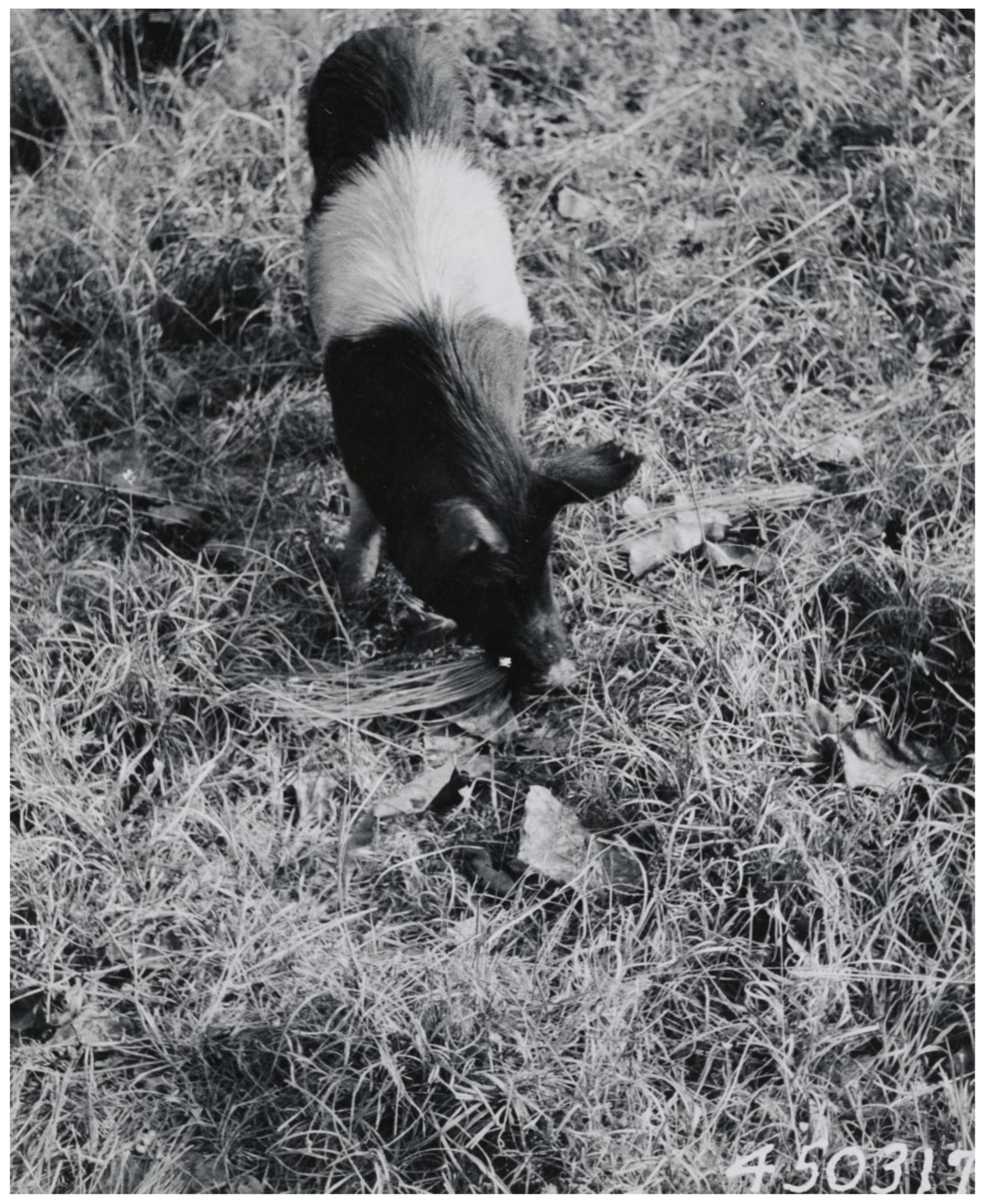 Forests 14 01938 g007