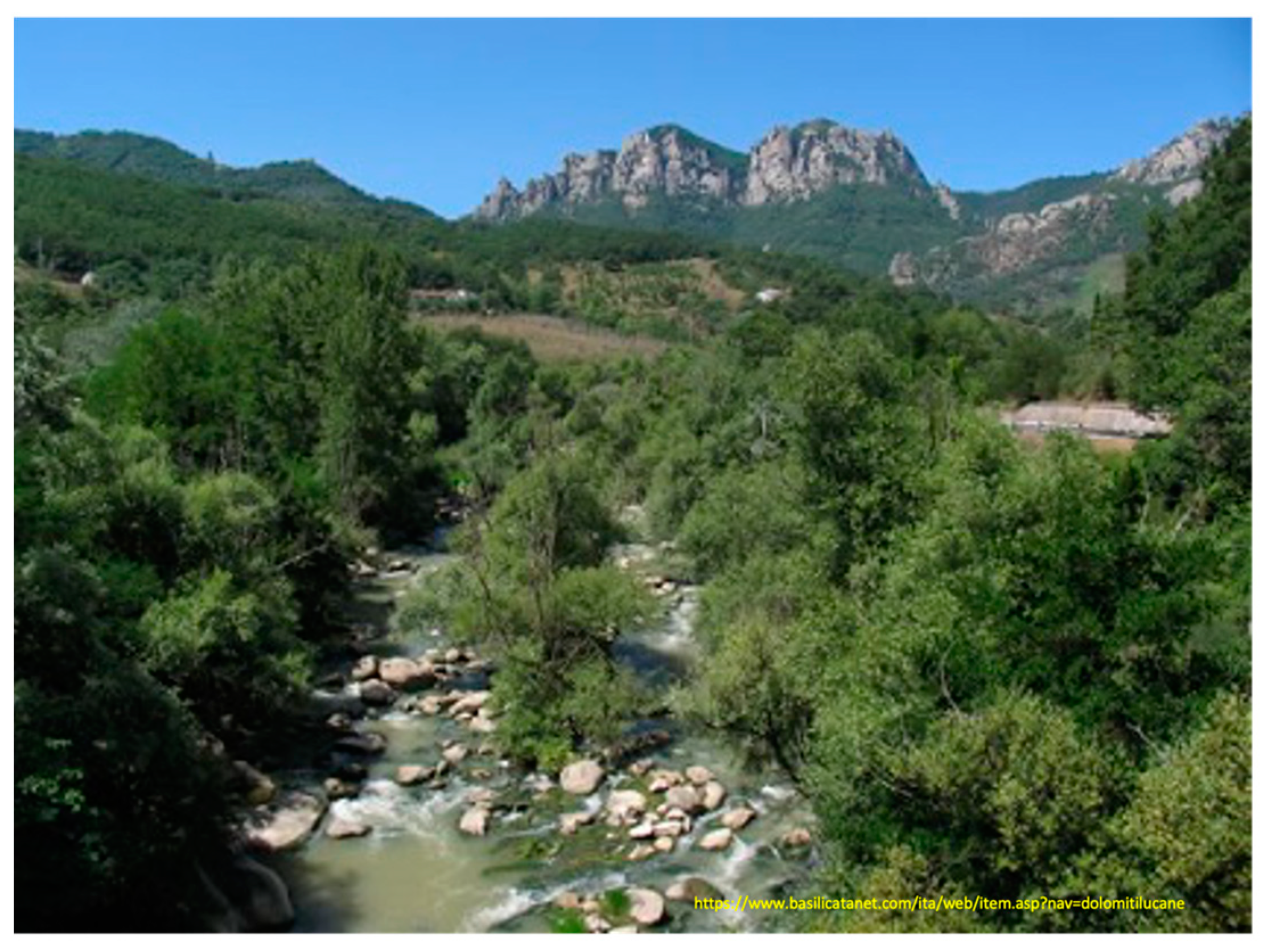 Forests 14 01941 g0a1 Forests 14 01941 g0a1