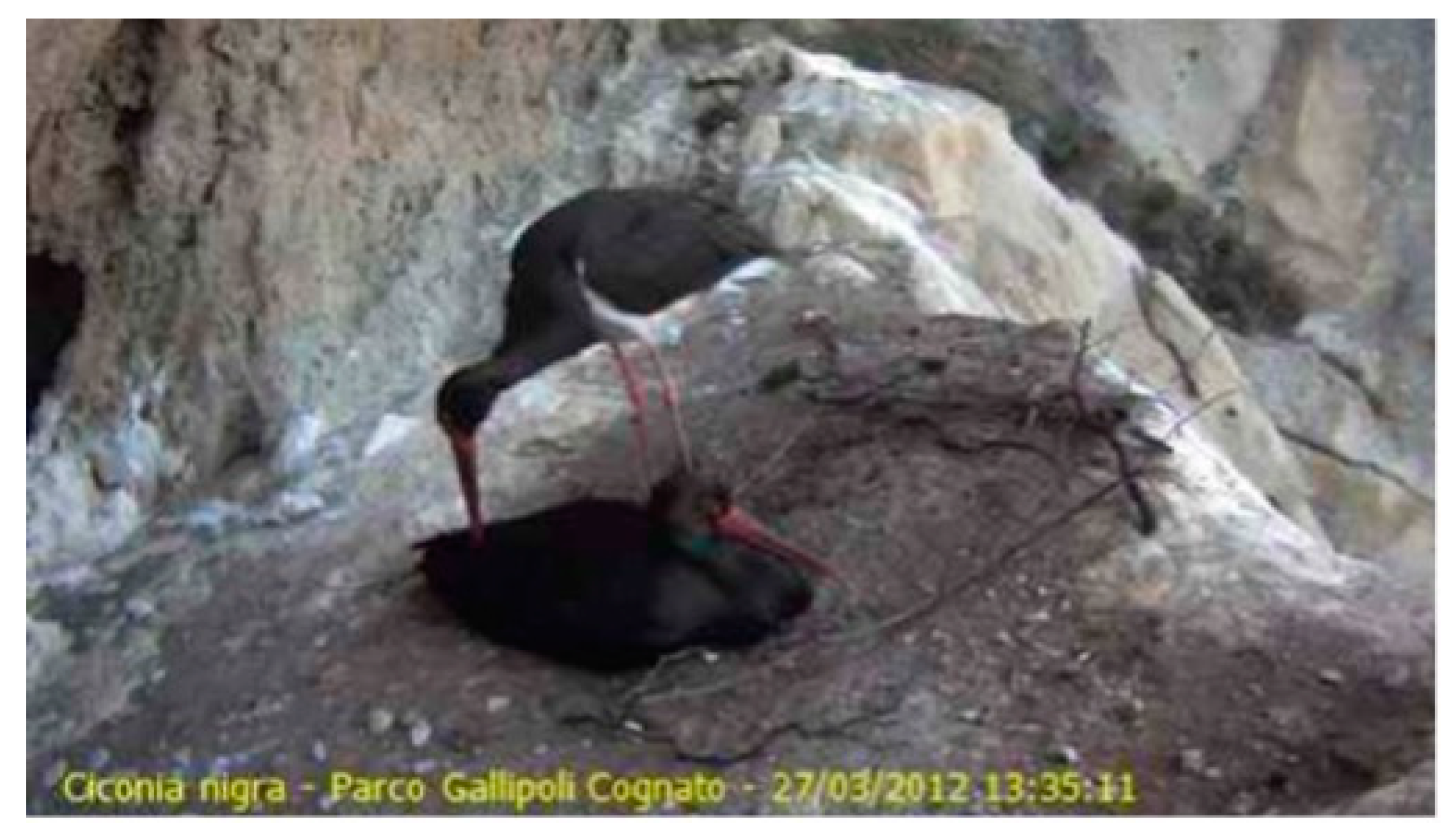 Forests 14 01941 g0a2 Forests 14 01941 g0a2