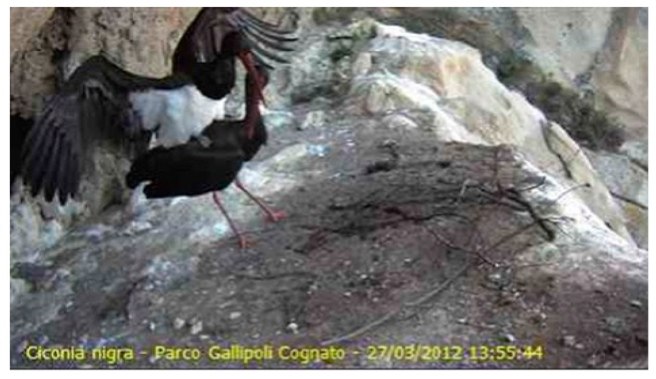 Forests 14 01941 g0a3 Forests 14 01941 g0a3