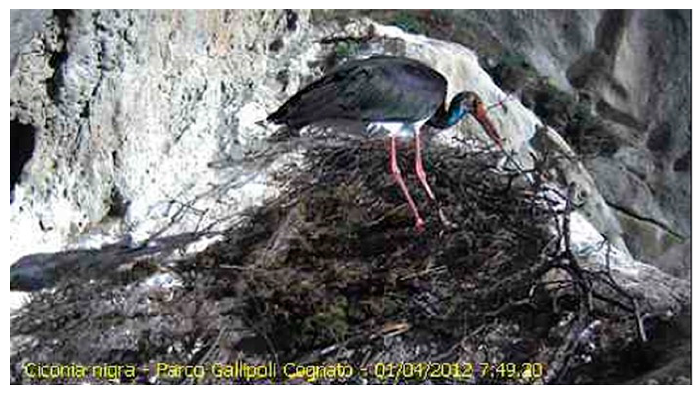 Forests 14 01941 g0a4 Forests 14 01941 g0a4