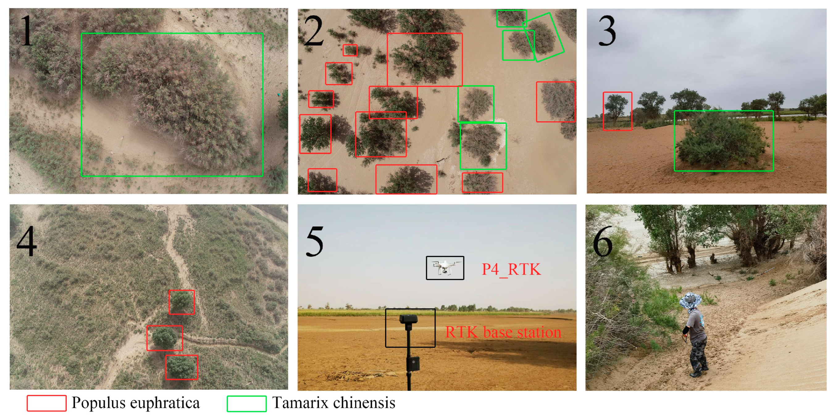 Forests 14 01943 g001 Forests 14 01943 g001