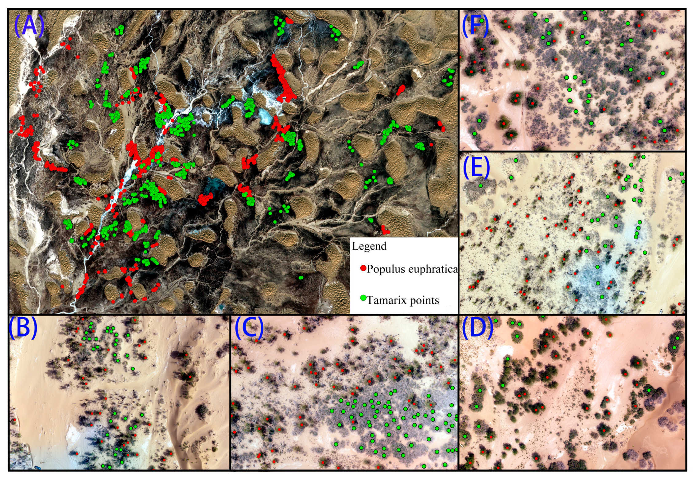 Forests 14 01943 g003 Forests 14 01943 g003